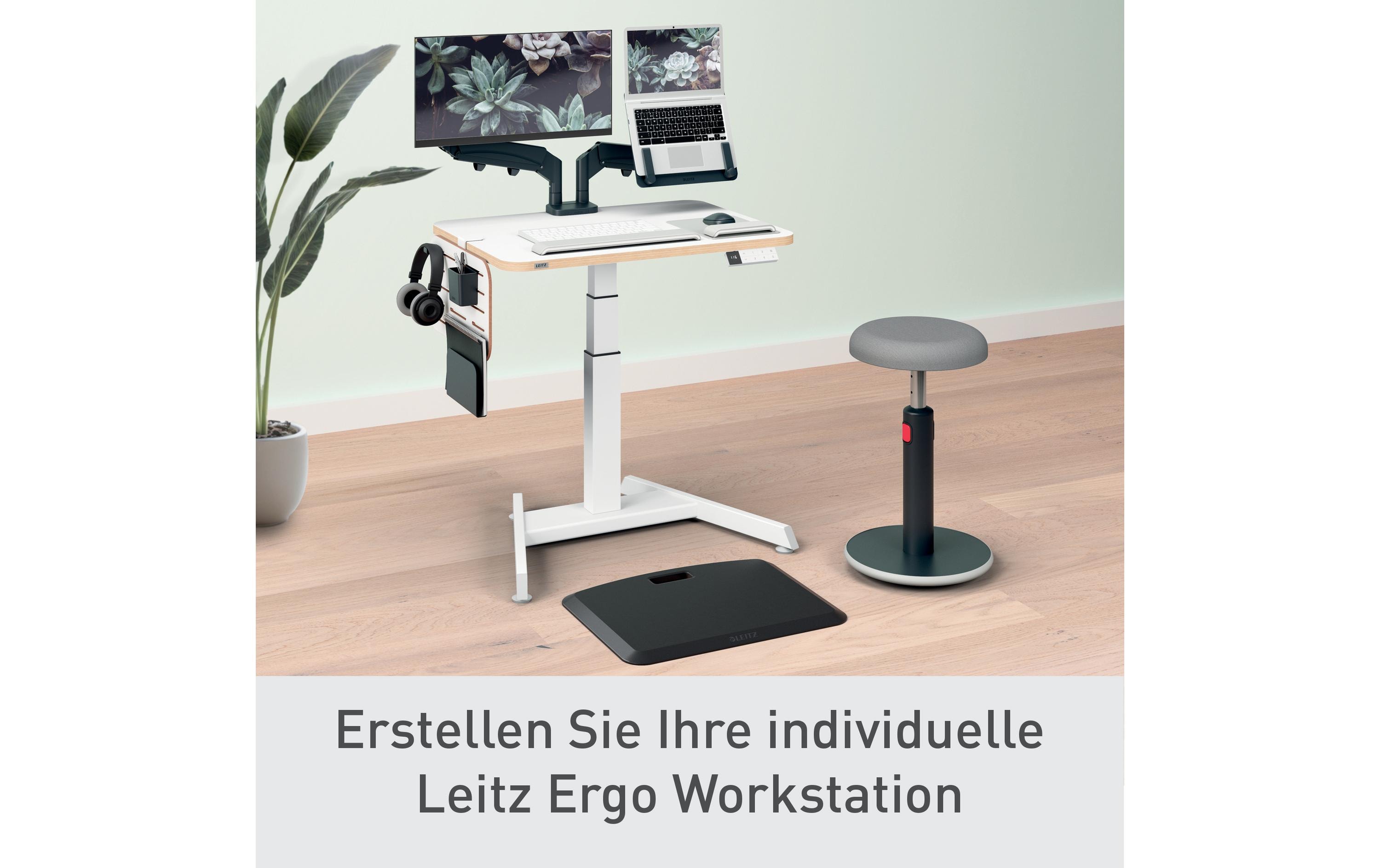 Leitz Stiftehalter Ergo Schreibtisch-Organizer Klein, Weiss