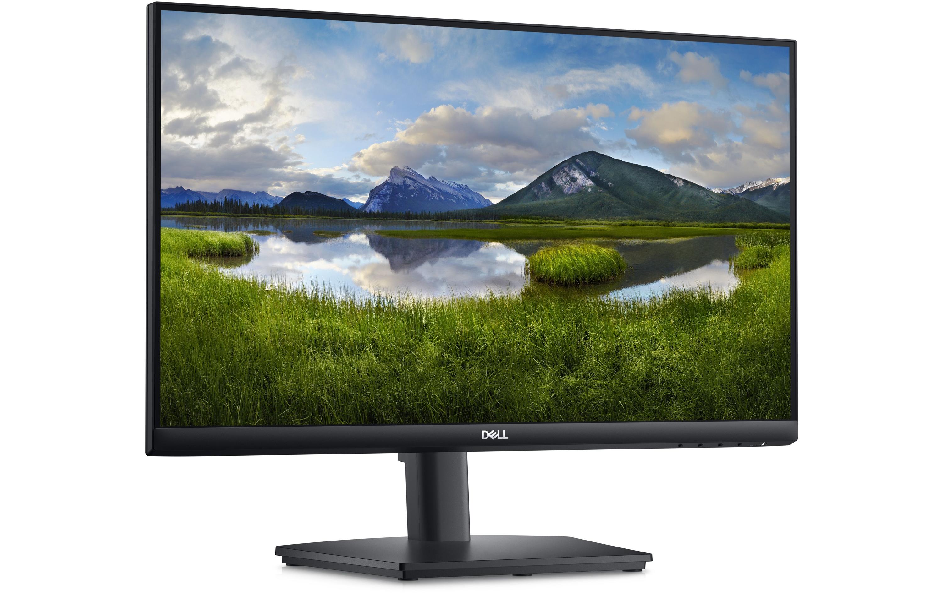 DELL Monitor E2424HS