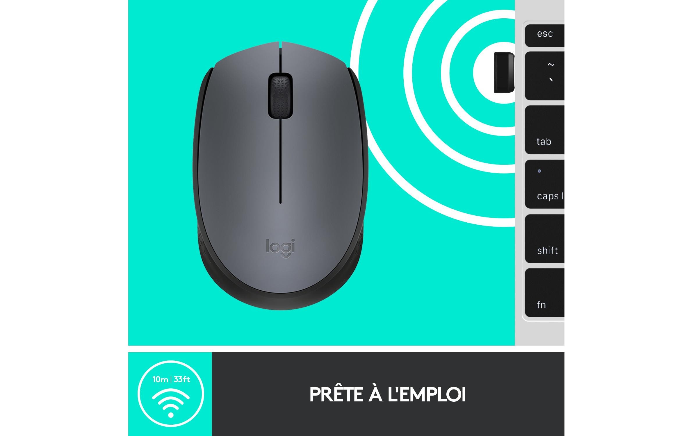 Logitech Maus M170 , kabellos