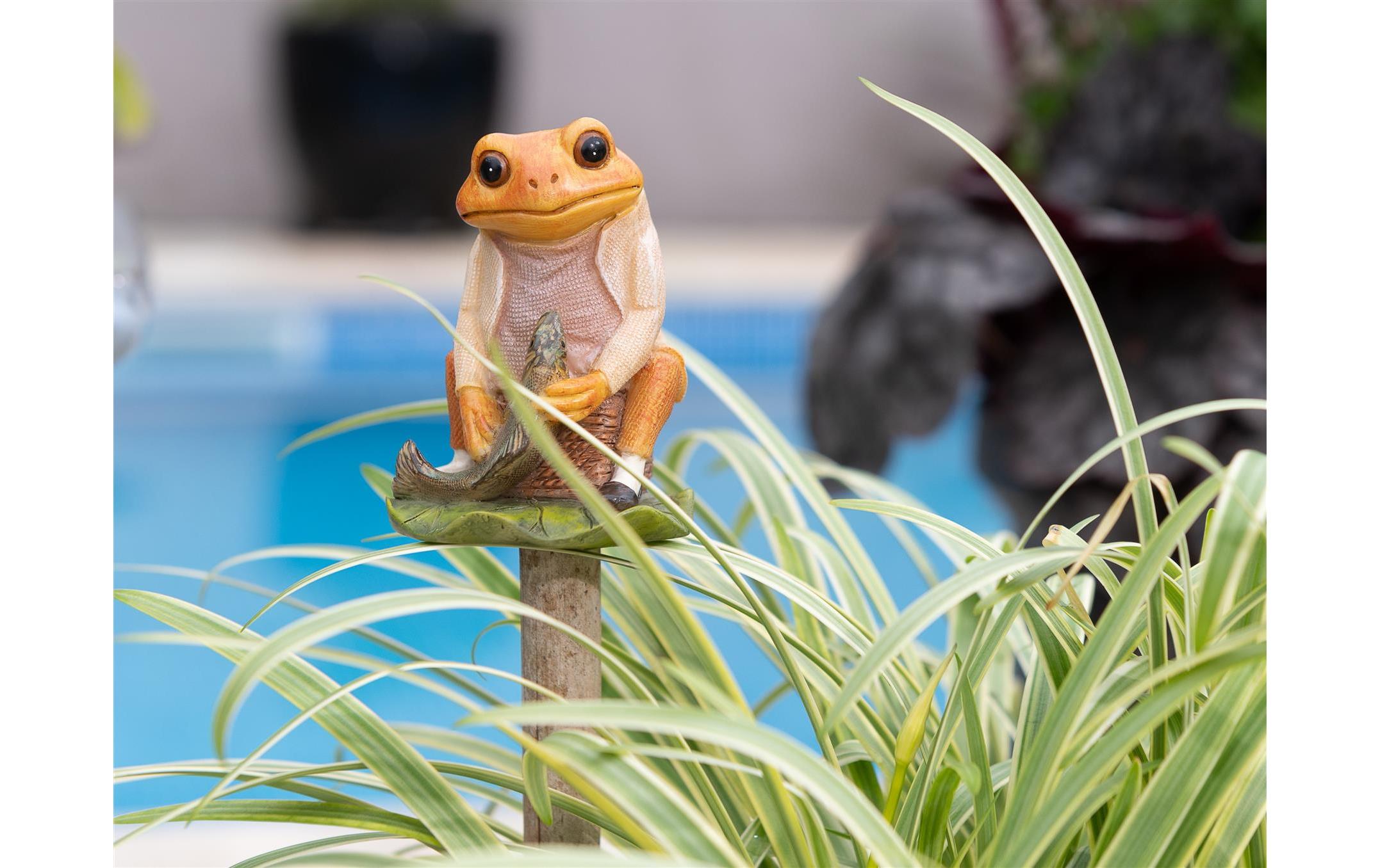 Jardinopia Cane Companions Mr. Jeremy Fisher, Mehrfarbig