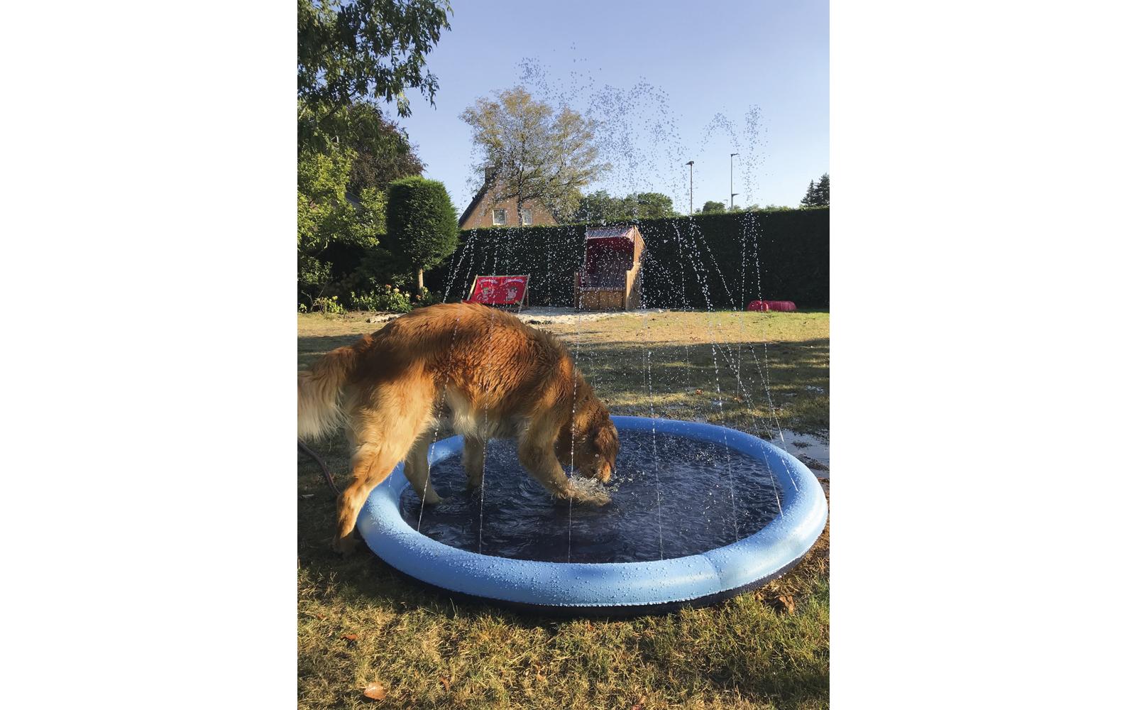 Nobby Hundepool Splash, Ø 150 cm