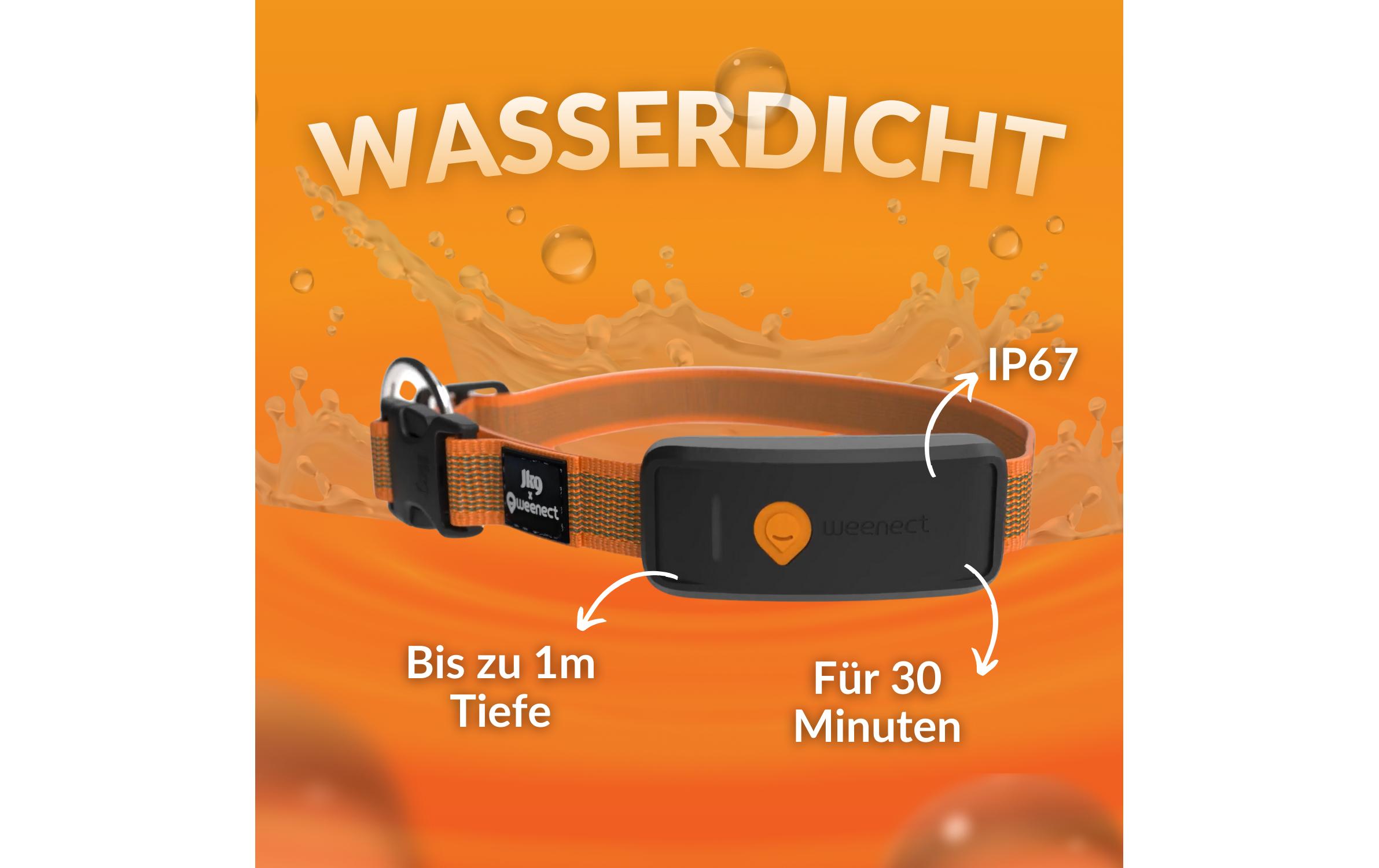 Weenect GPS-Tracker für Hunde XT mit Halsband orange