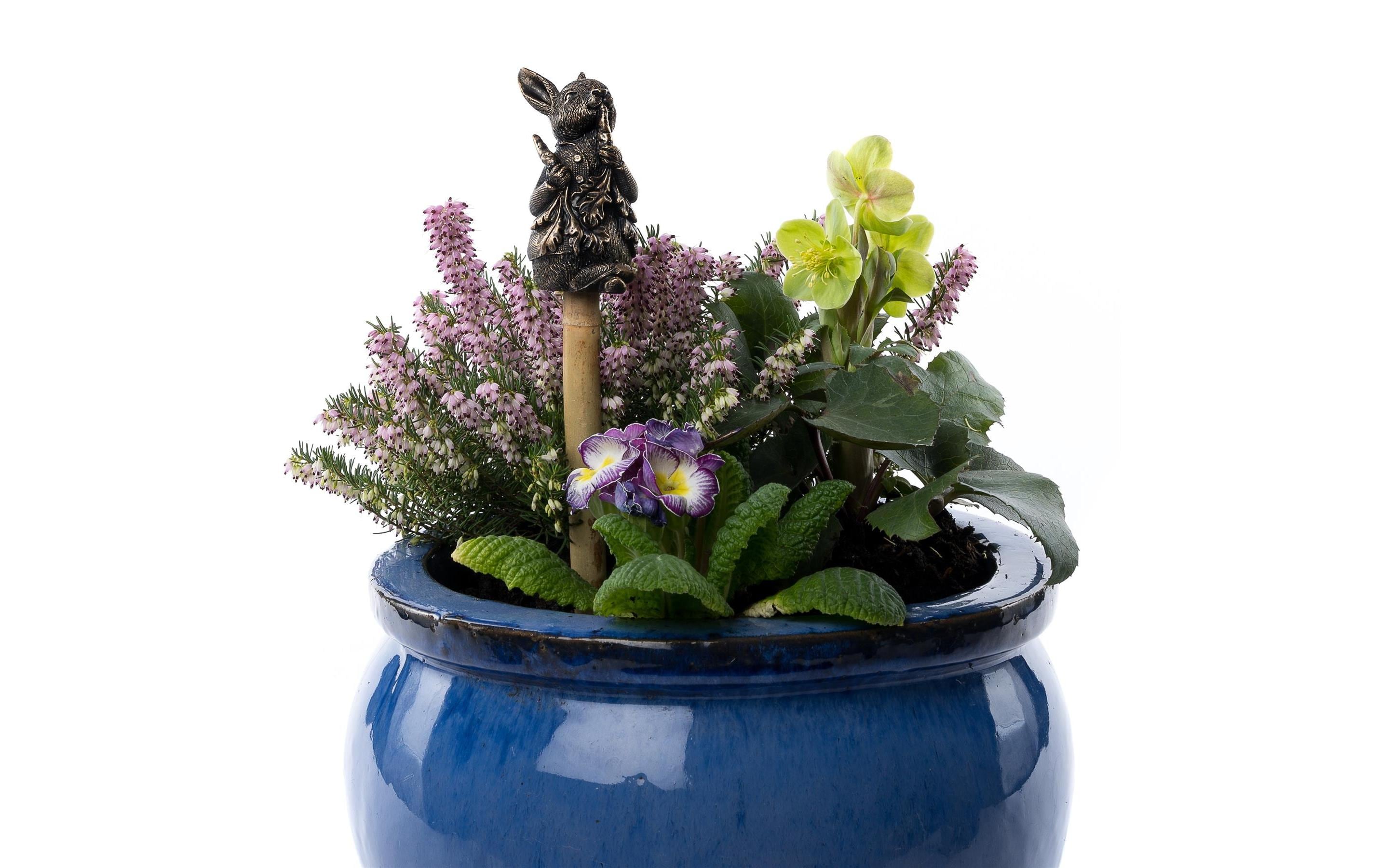 Jardinopia Cane Companions Peter Rabbit