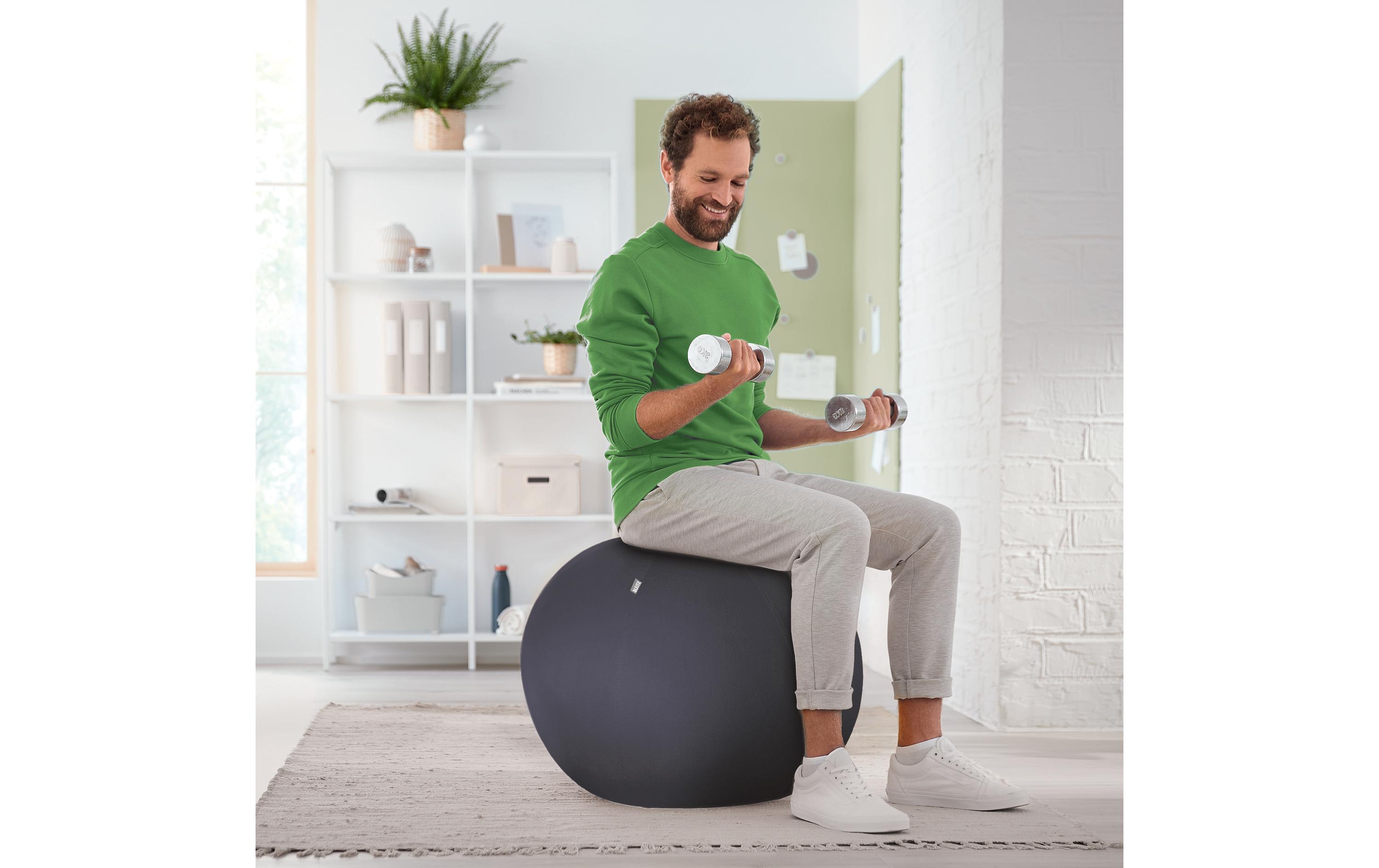 Leitz Sitzball Ergo Active 55 cm