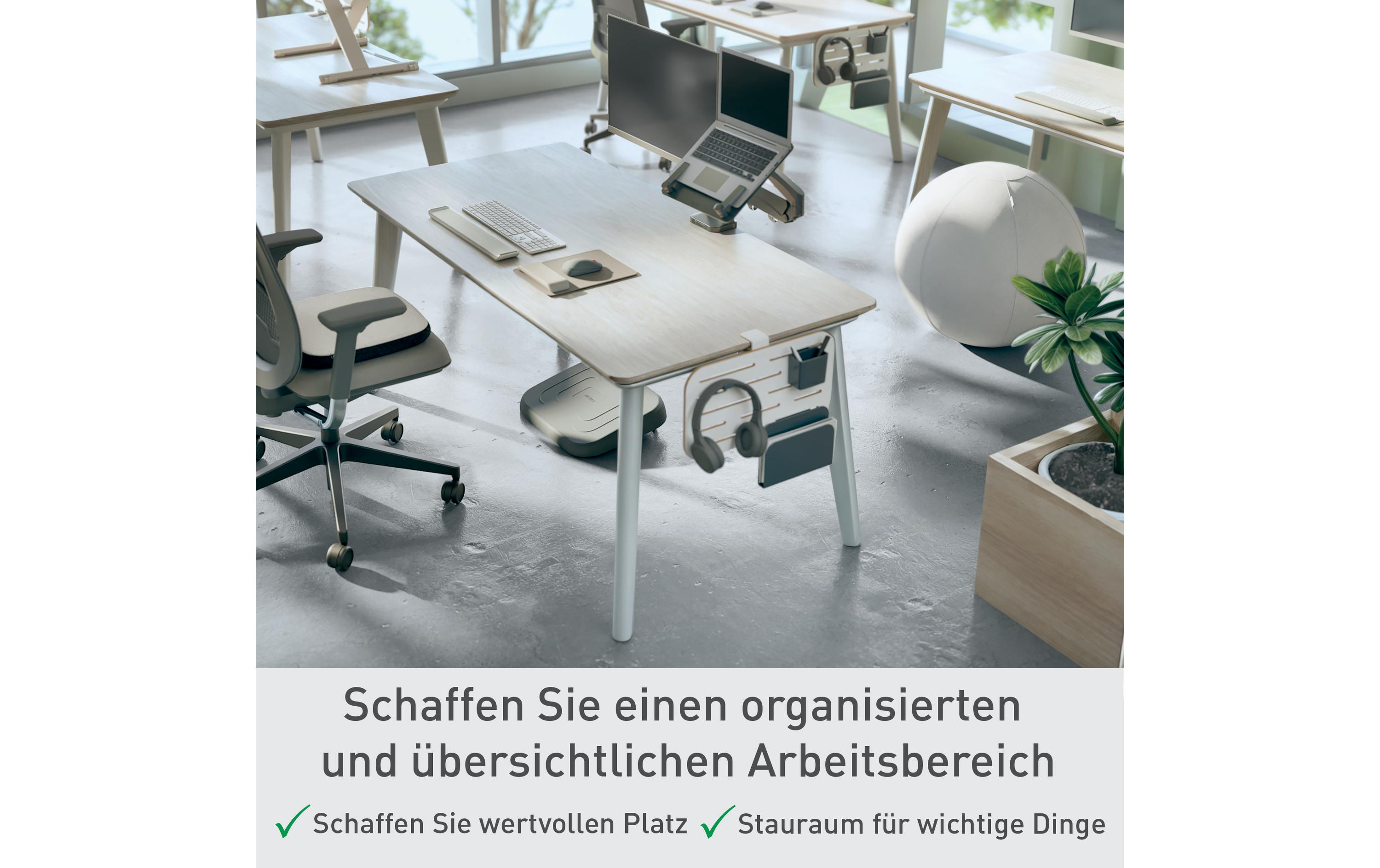 Leitz Stiftehalter Ergo Schreibtisch-Organizer Klein, Weiss