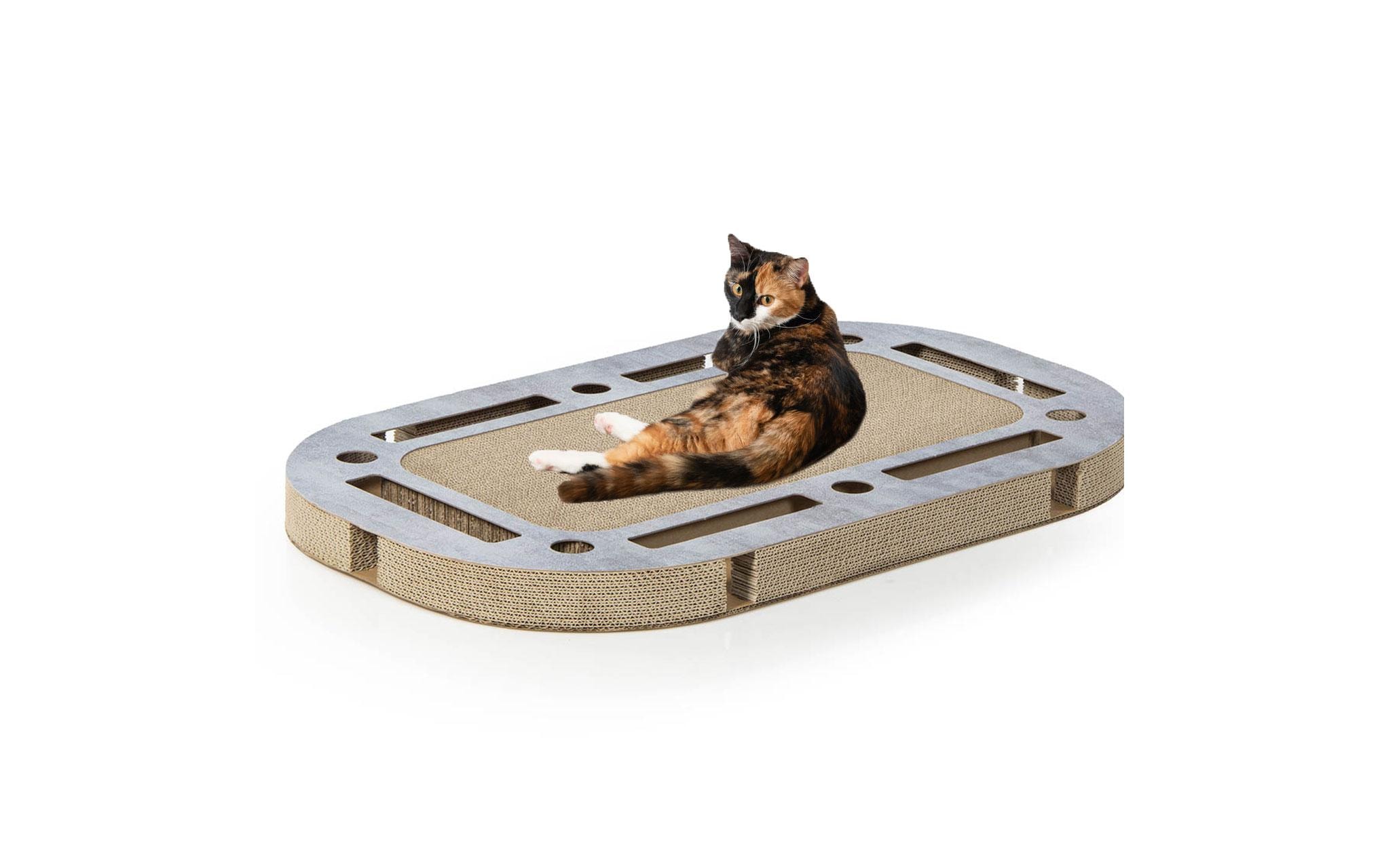 CanadianCat Katzen-Strategiespiel Playplate