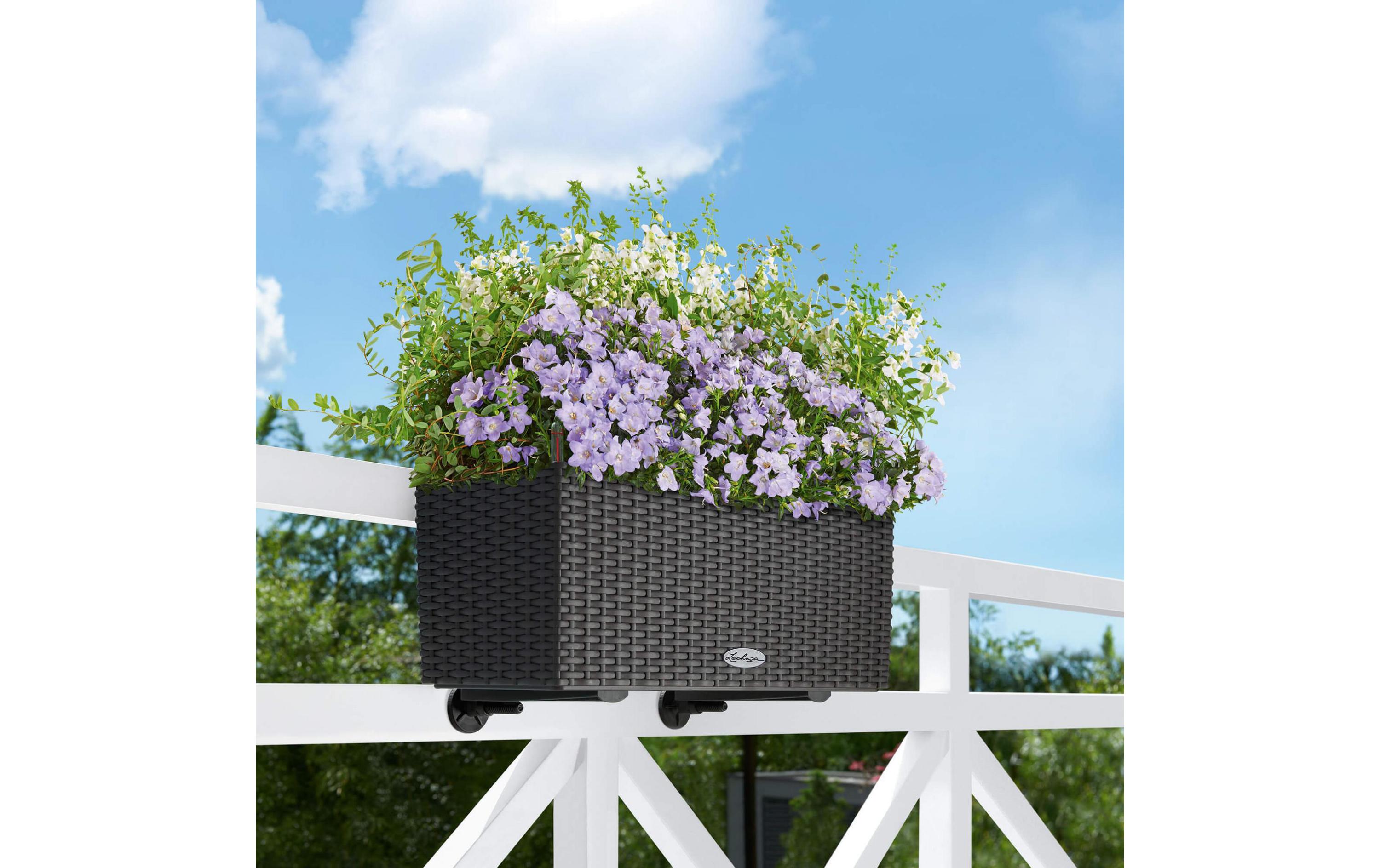 Lechuza Blumenkastenhalter für Balconera