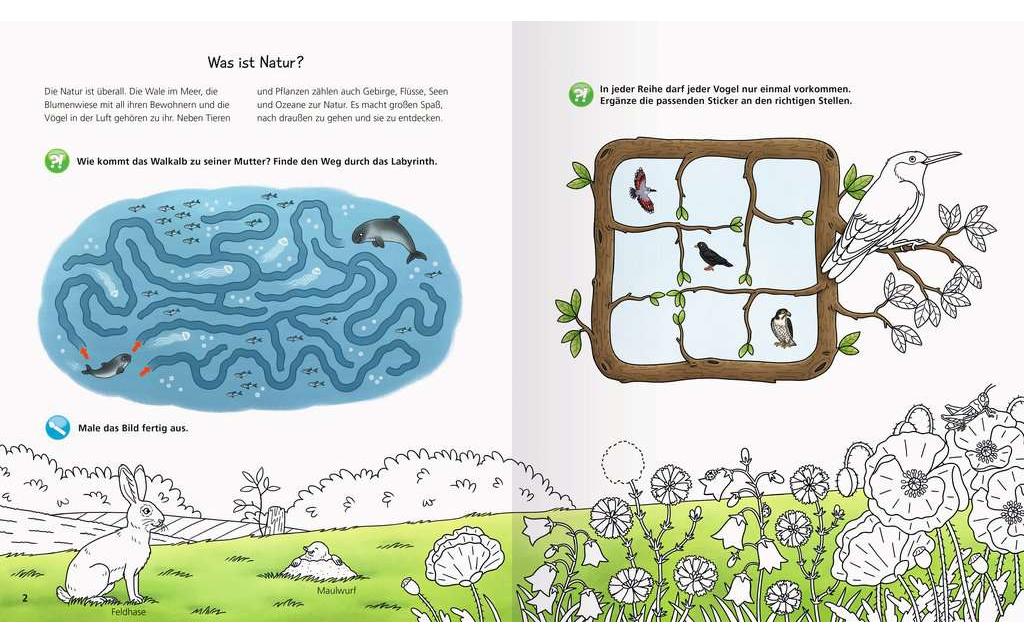 Ravensburger Kinder-Sachbuch WWW aktiv-Heft: Natur