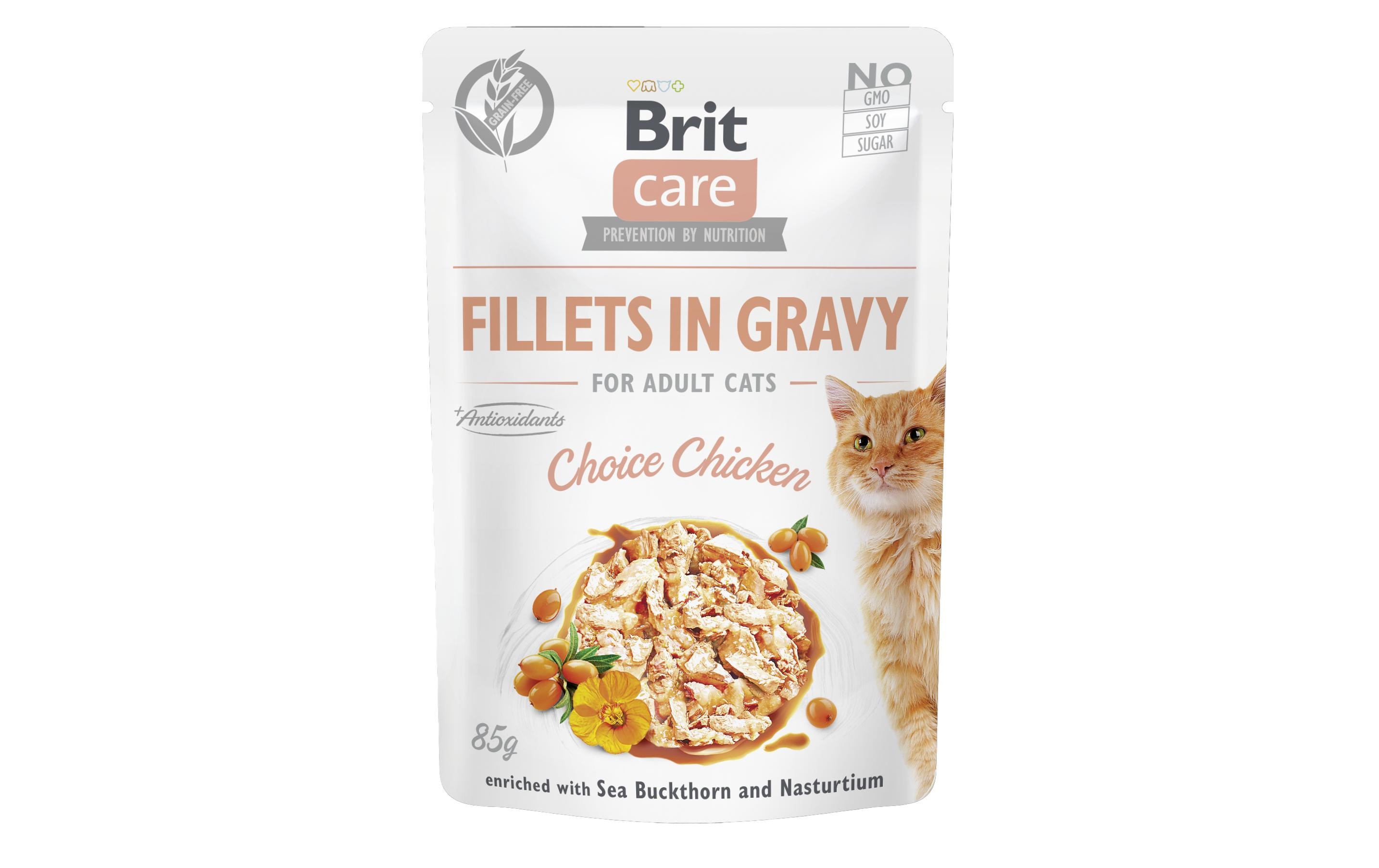 Brit Nassfutter Care Fillets Sauce Huhn, 85 g