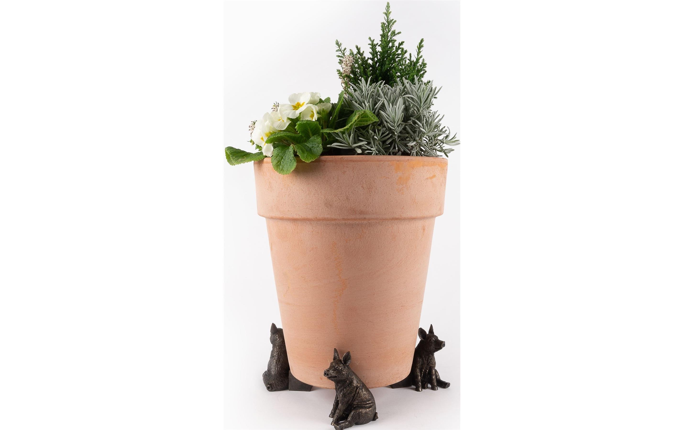 Jardinopia Pflanzentopffüsse Potty Feet Schwein, 3er Set