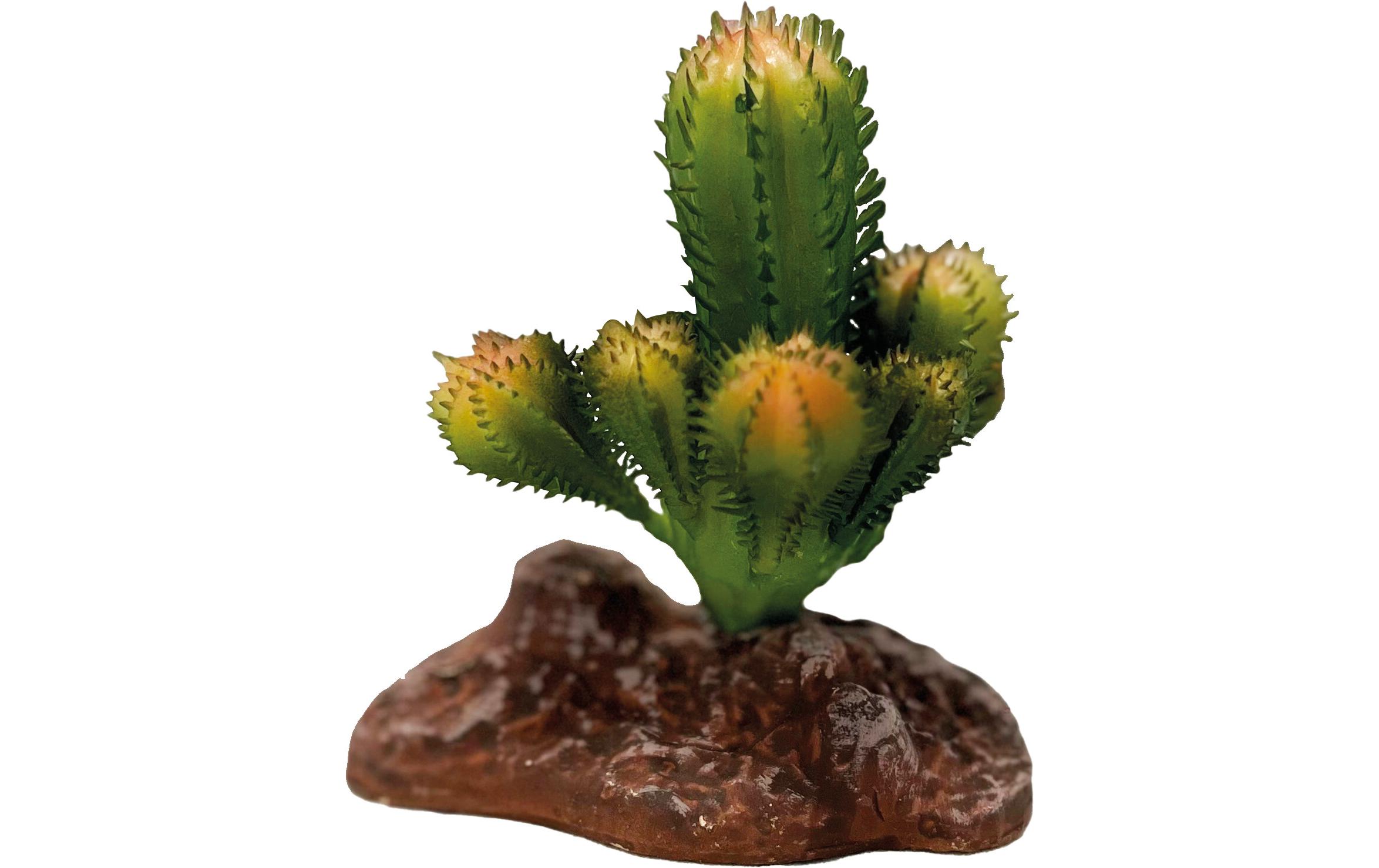 Repto Deco Plant Cactus, 10 cm