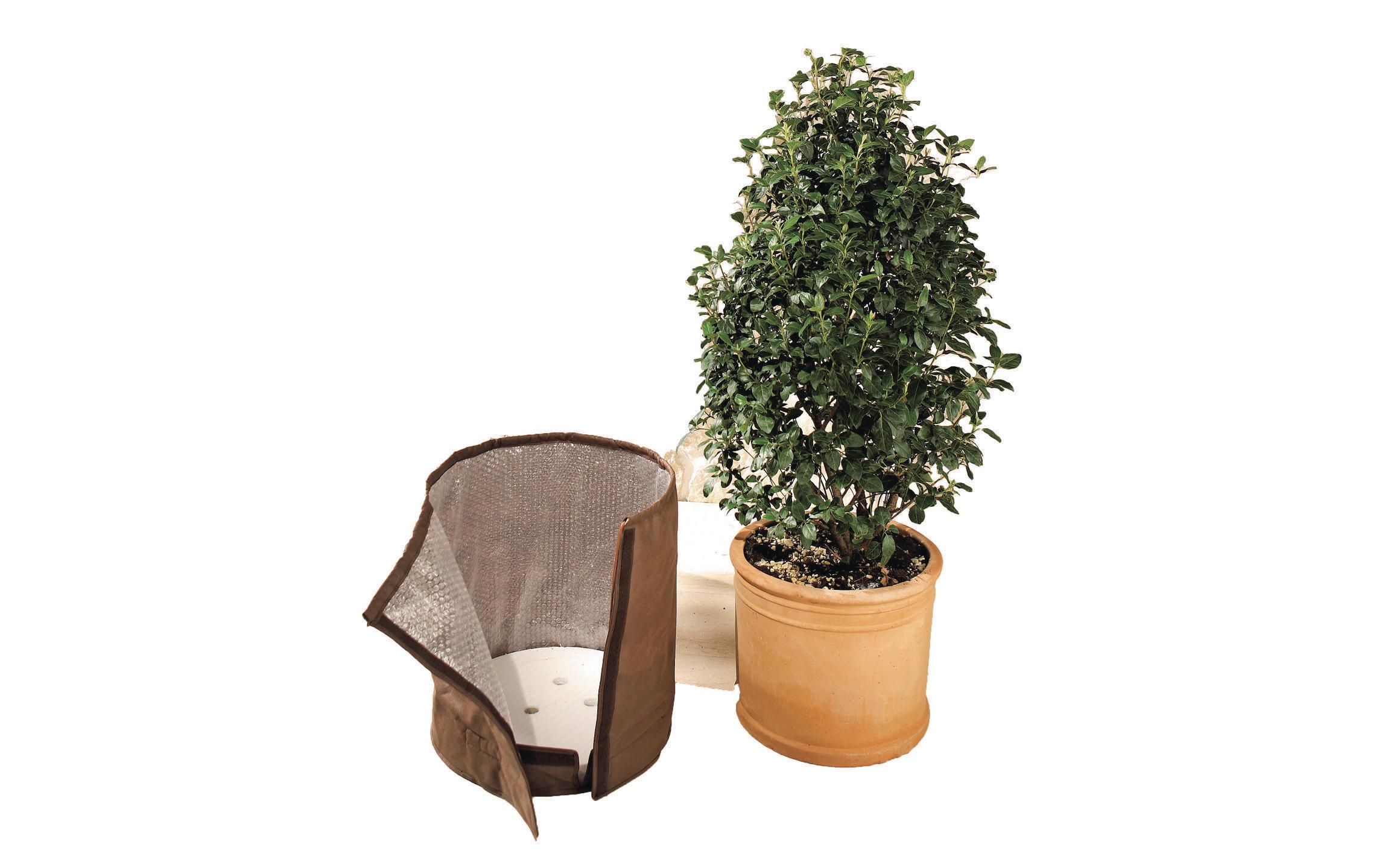 BioGreen Topfschutz 50 cm Ø 45 cm Topf-Schutz L