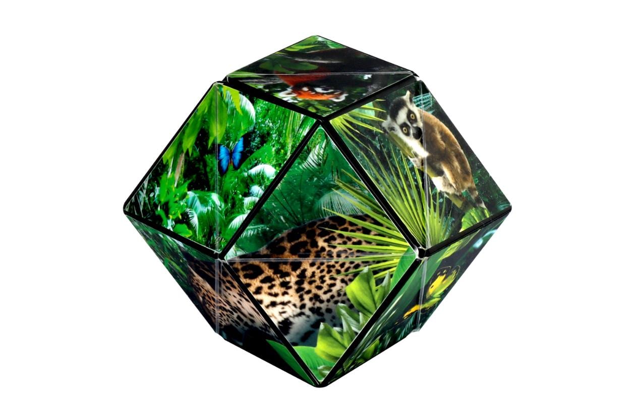 Shashibo Shashibo Cube Jungle