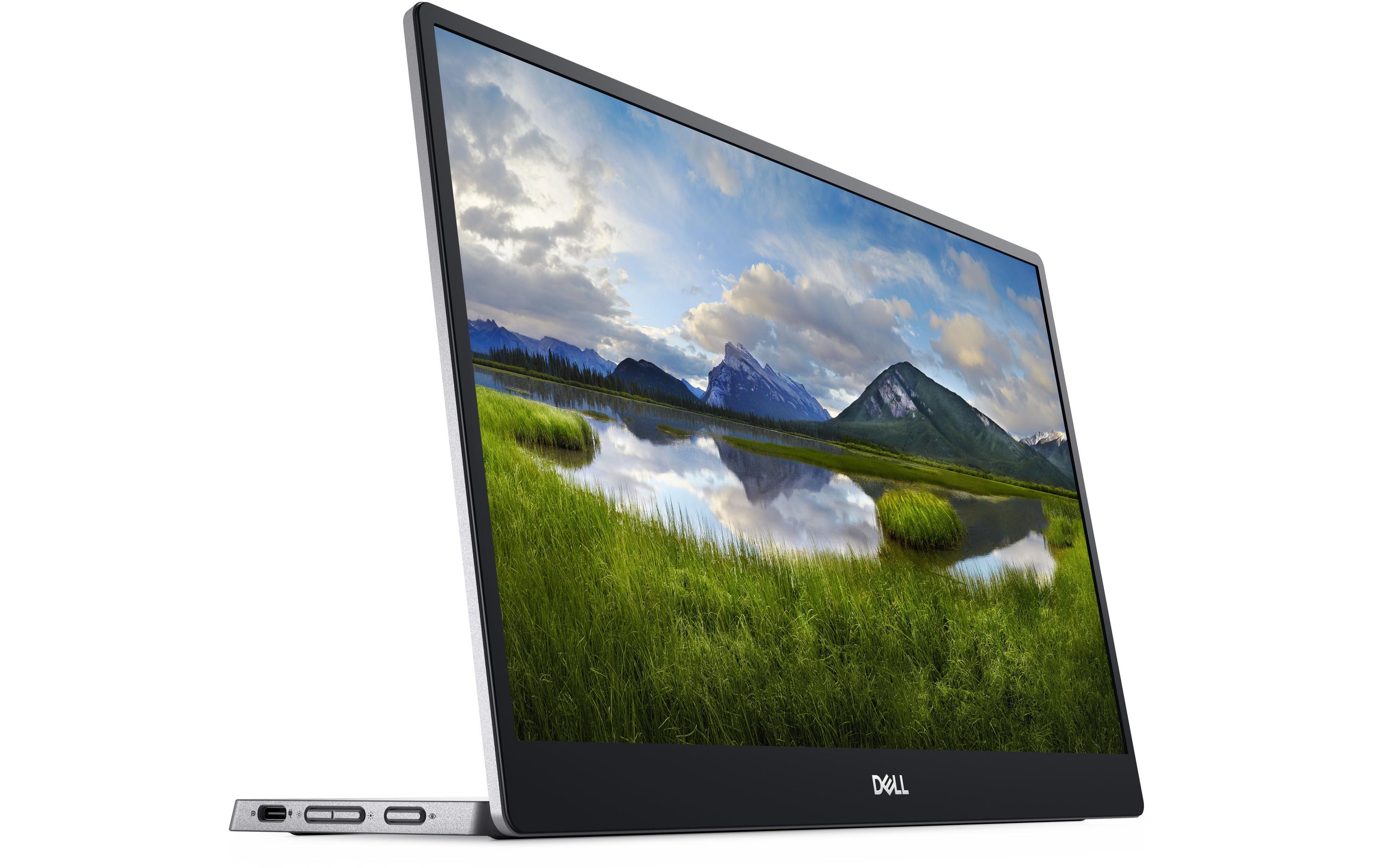 DELL Monitor P1424H USB-C