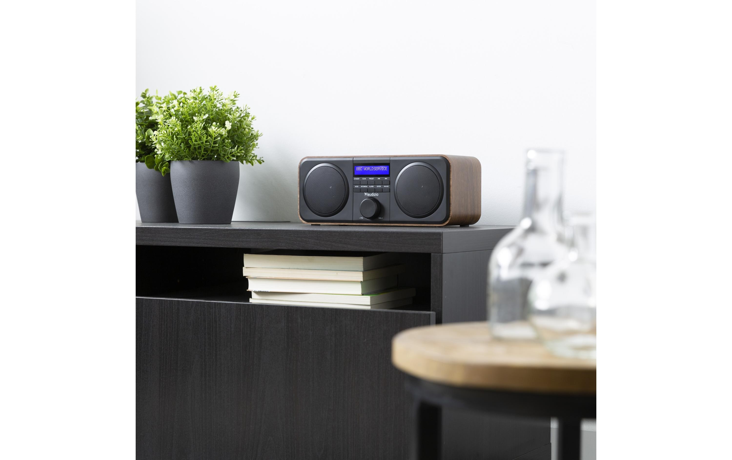 Audizio DAB+ Radio Novara Holzoptik