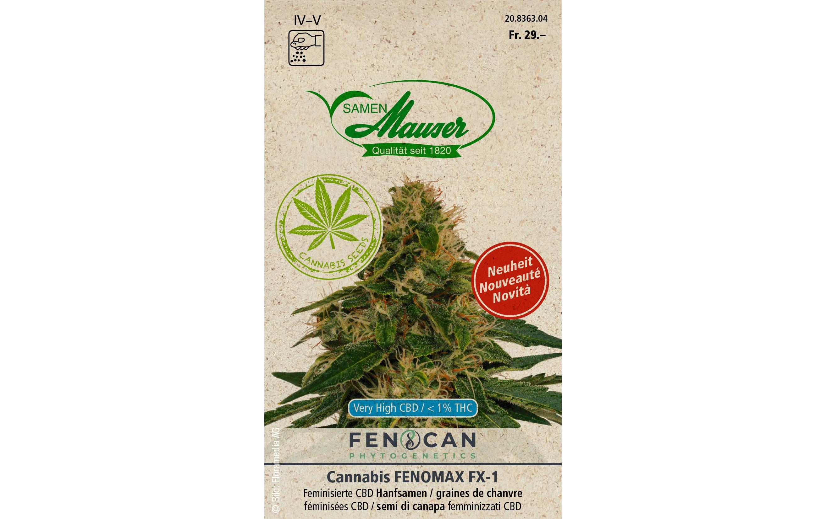 Samen Mauser Saatgut Cannabis Fenomax