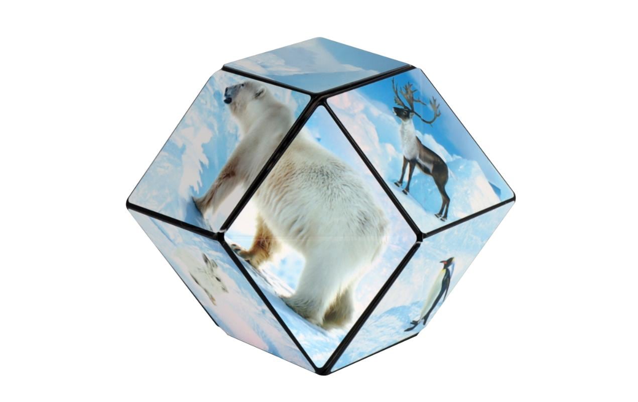 Shashibo Shashibo Cube Arctic