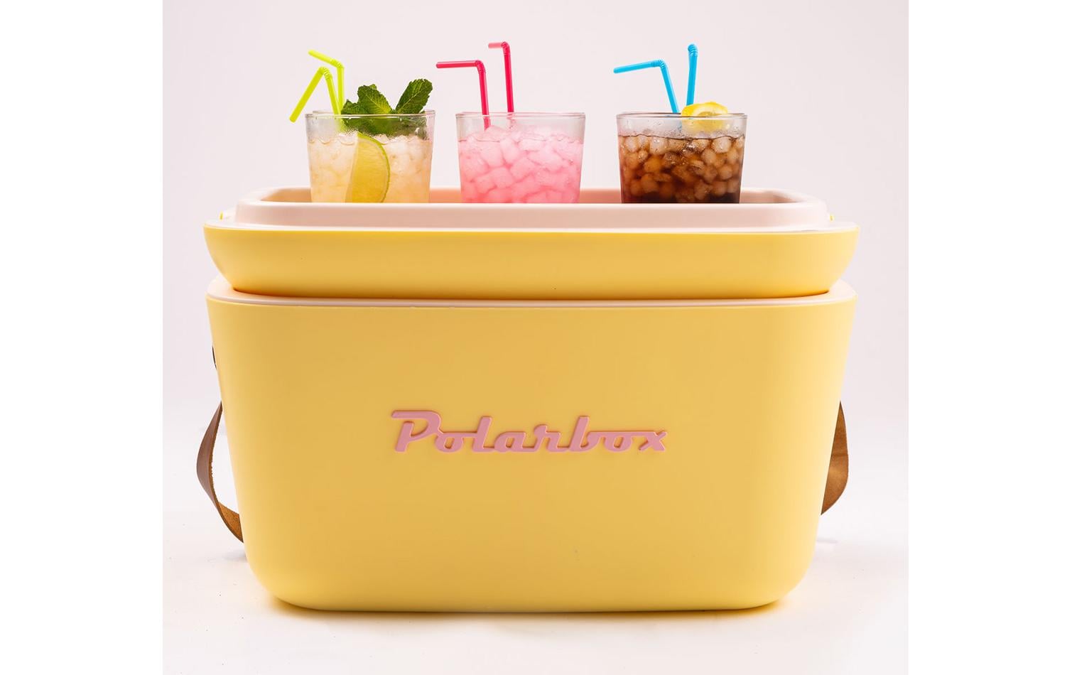 Polarbox Kühlbox Retro Cooler 20 l