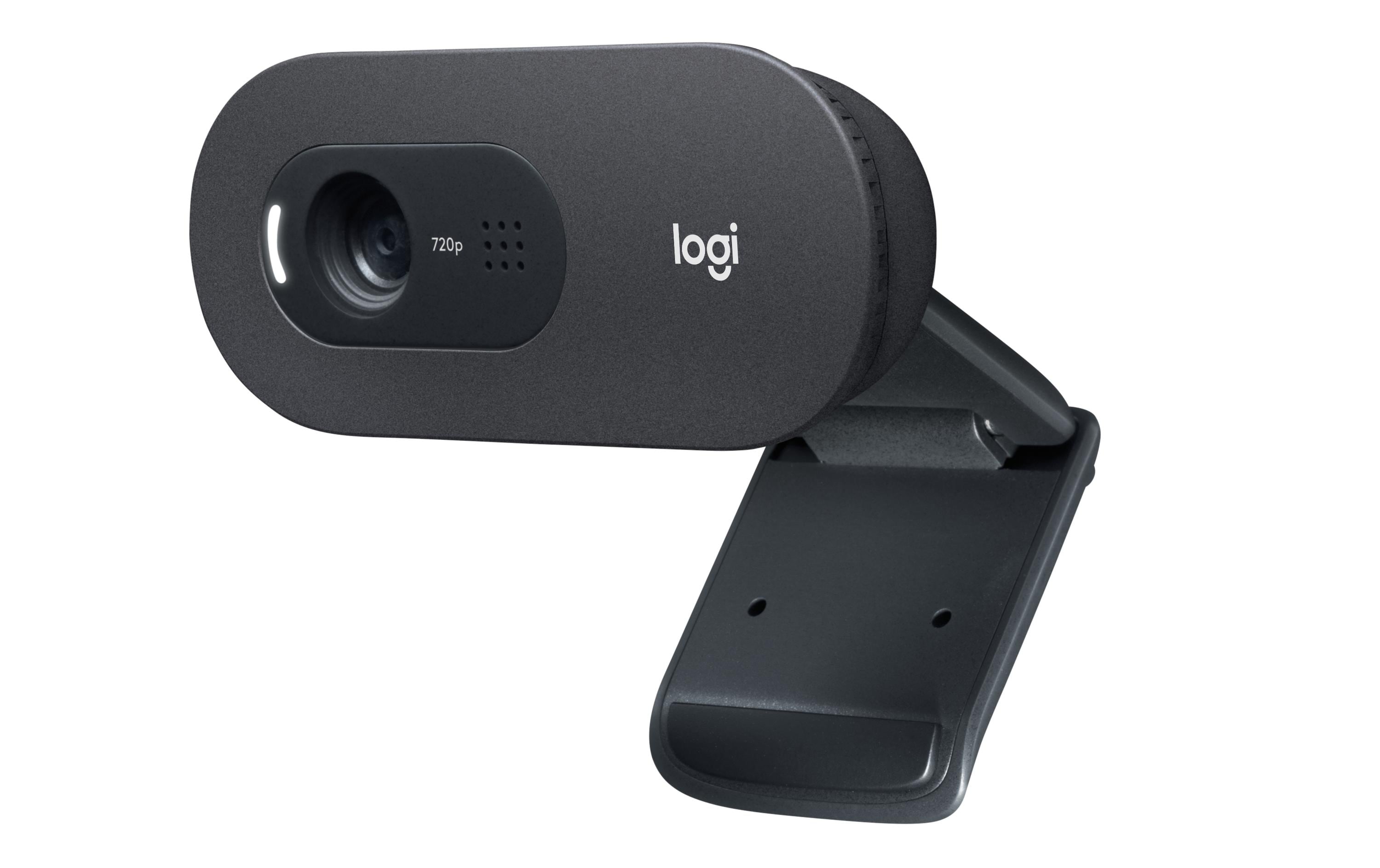 Logitech Webcam C505e HD Bulk