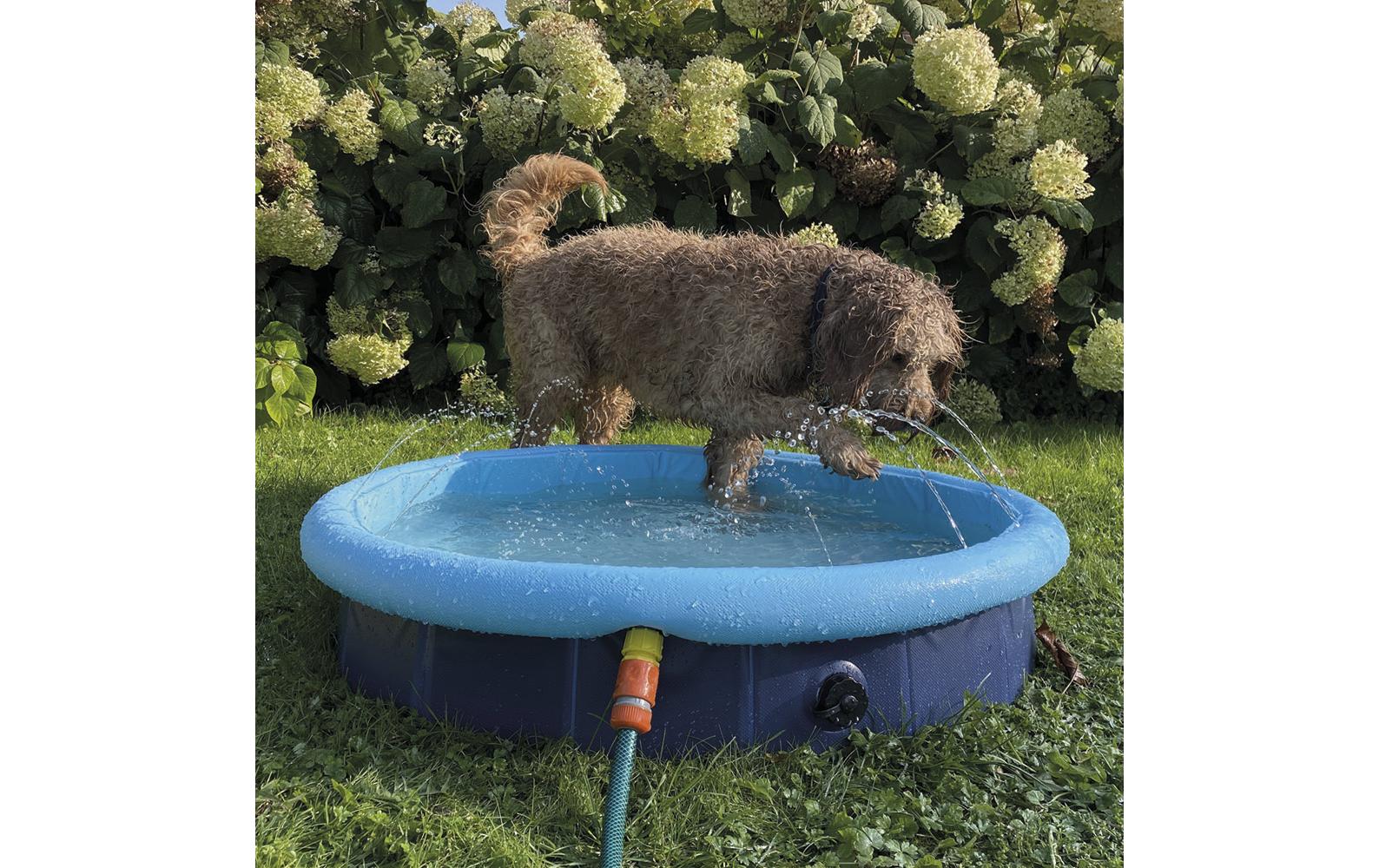 Nobby Hundepool Splash, 2in1, Ø 120