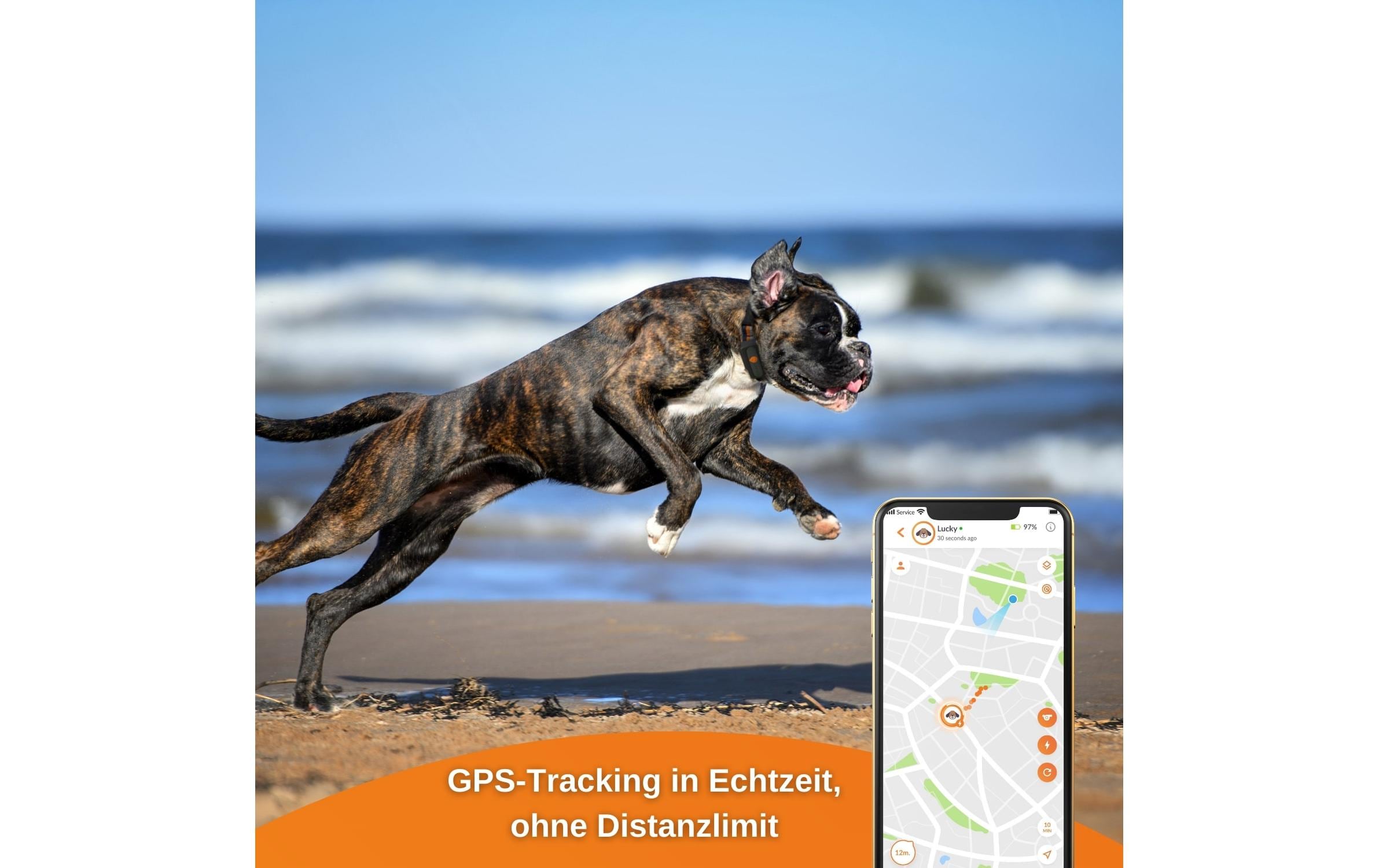 Weenect GPS-Tracker XS für Hunde, Schwarz