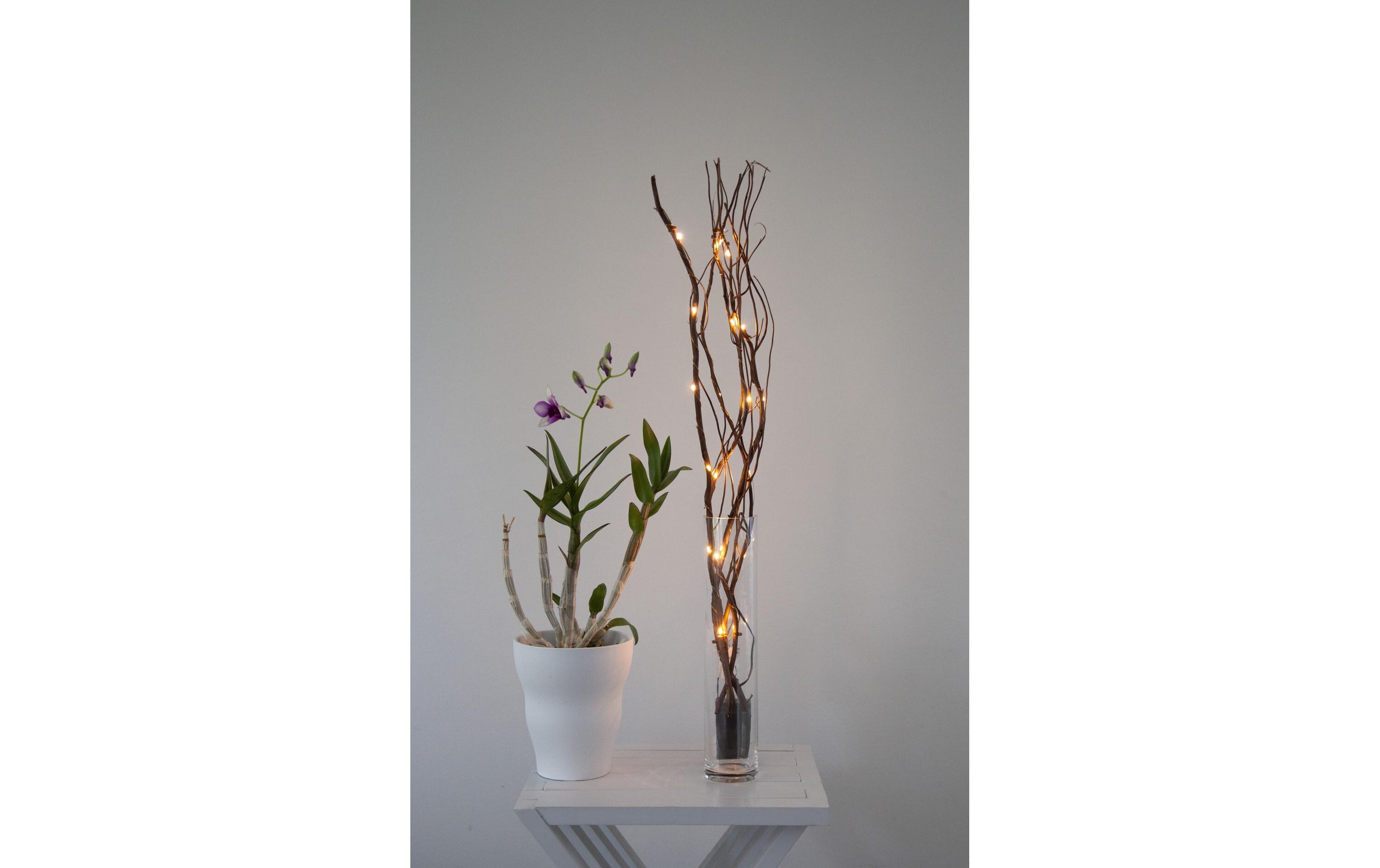 Star Trading Zweig Willow Dewdrop, 24 LEDs, 60 cm, Braun