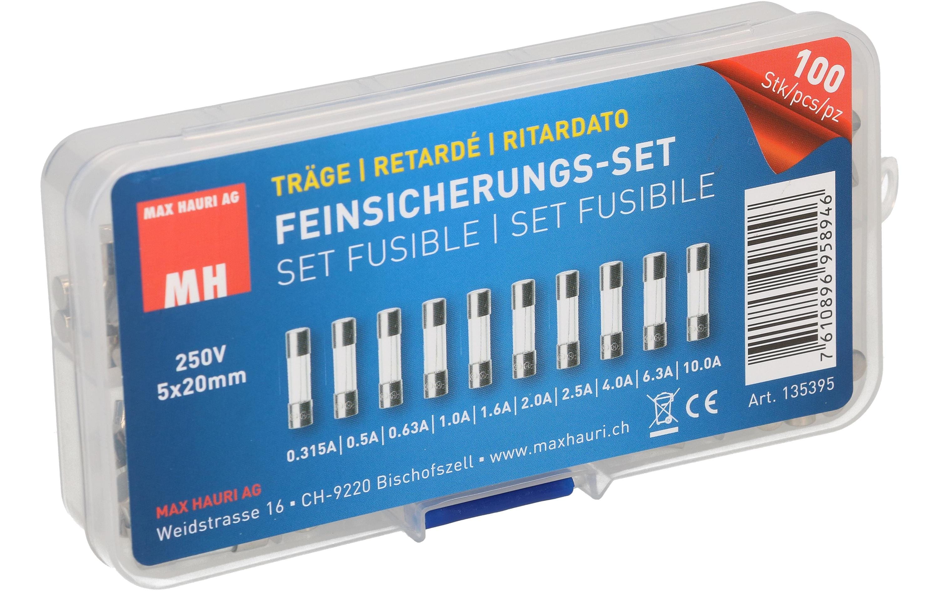 Max Hauri Schmelzsicherung Set 5 x 20 mm Träge, 100 Stück