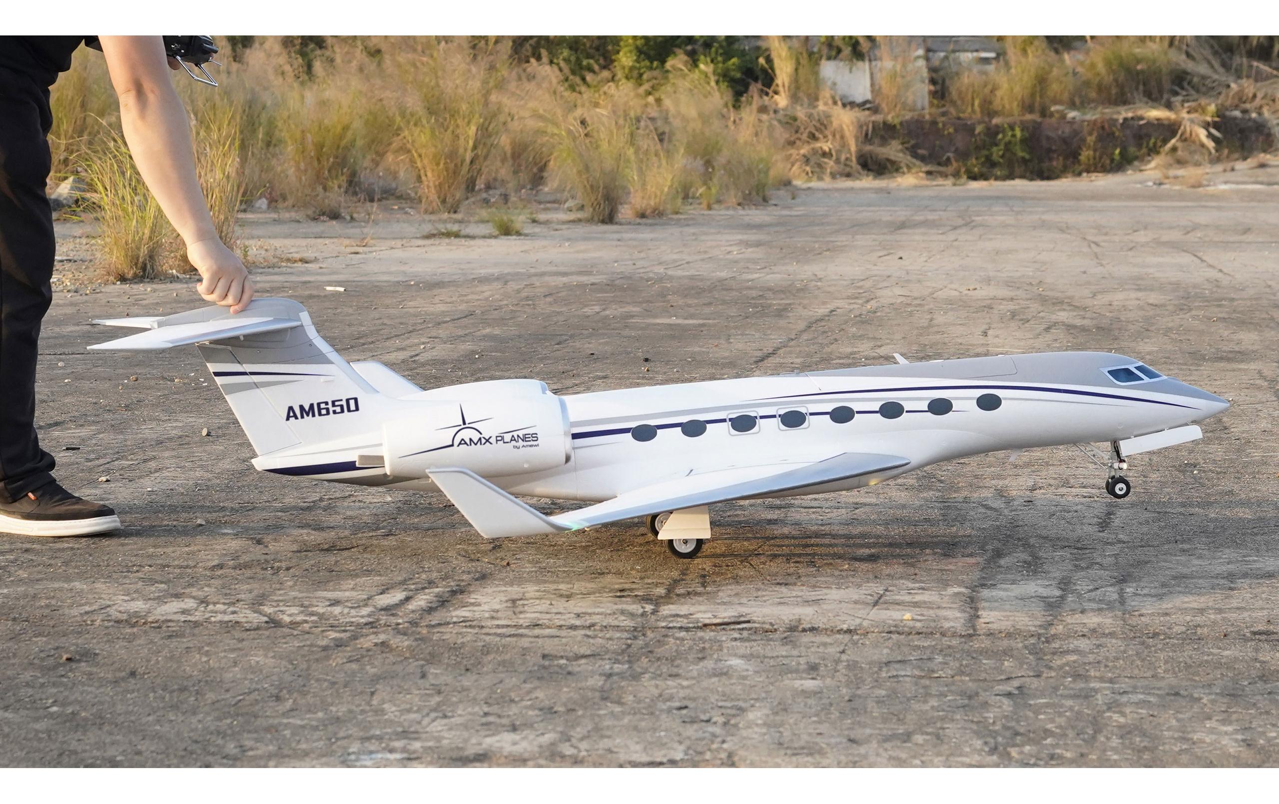 Amewi Business Jet AM650 1766 mm PNP