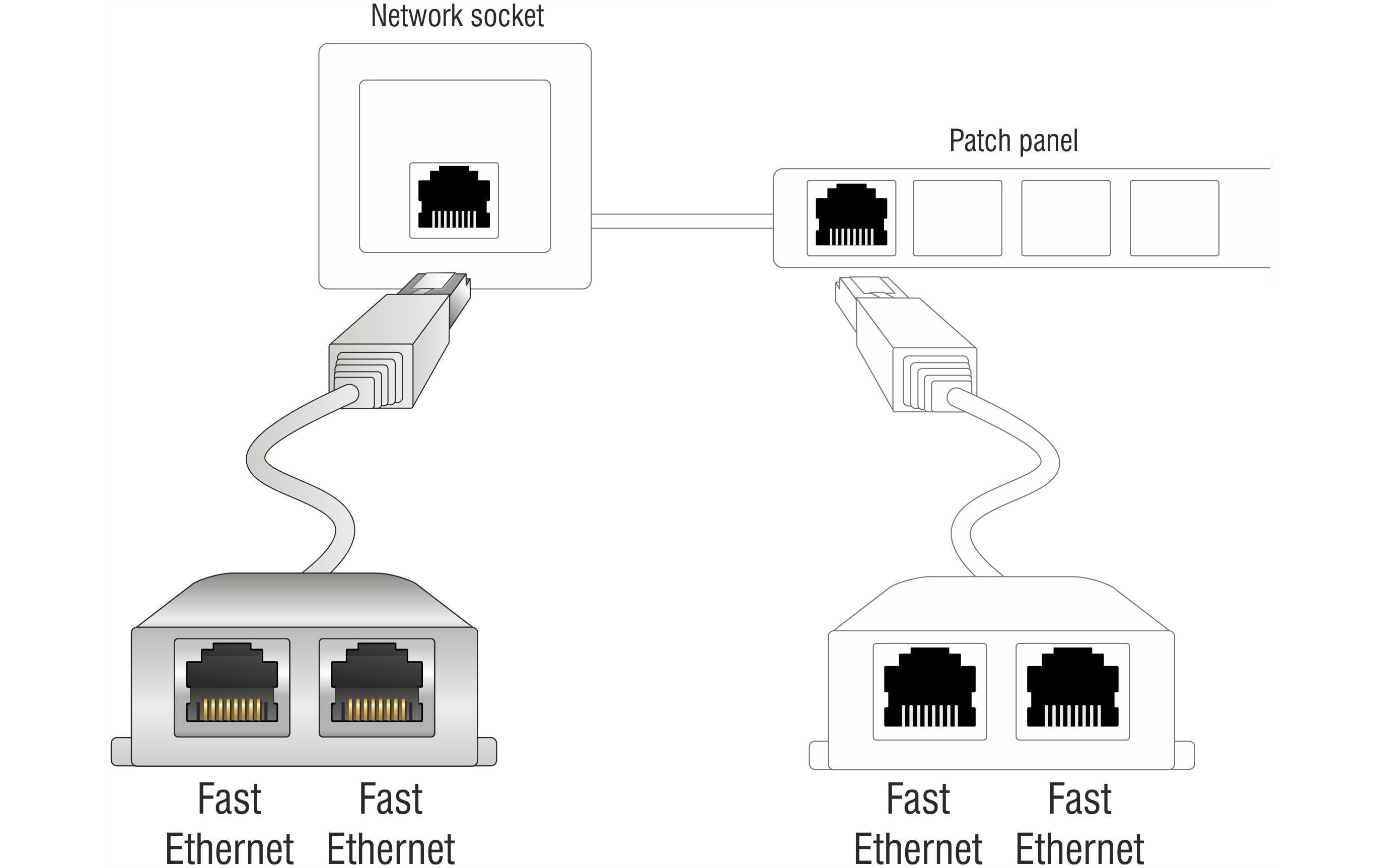 Delock Anschlussverdoppler 2x 100Mbps LAN 1 Stück