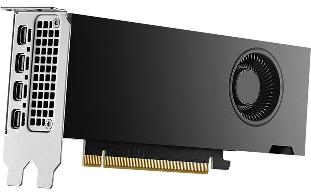 PNY Grafikkarte NVIDIA RTX 2000 Ada Generation 16 GB