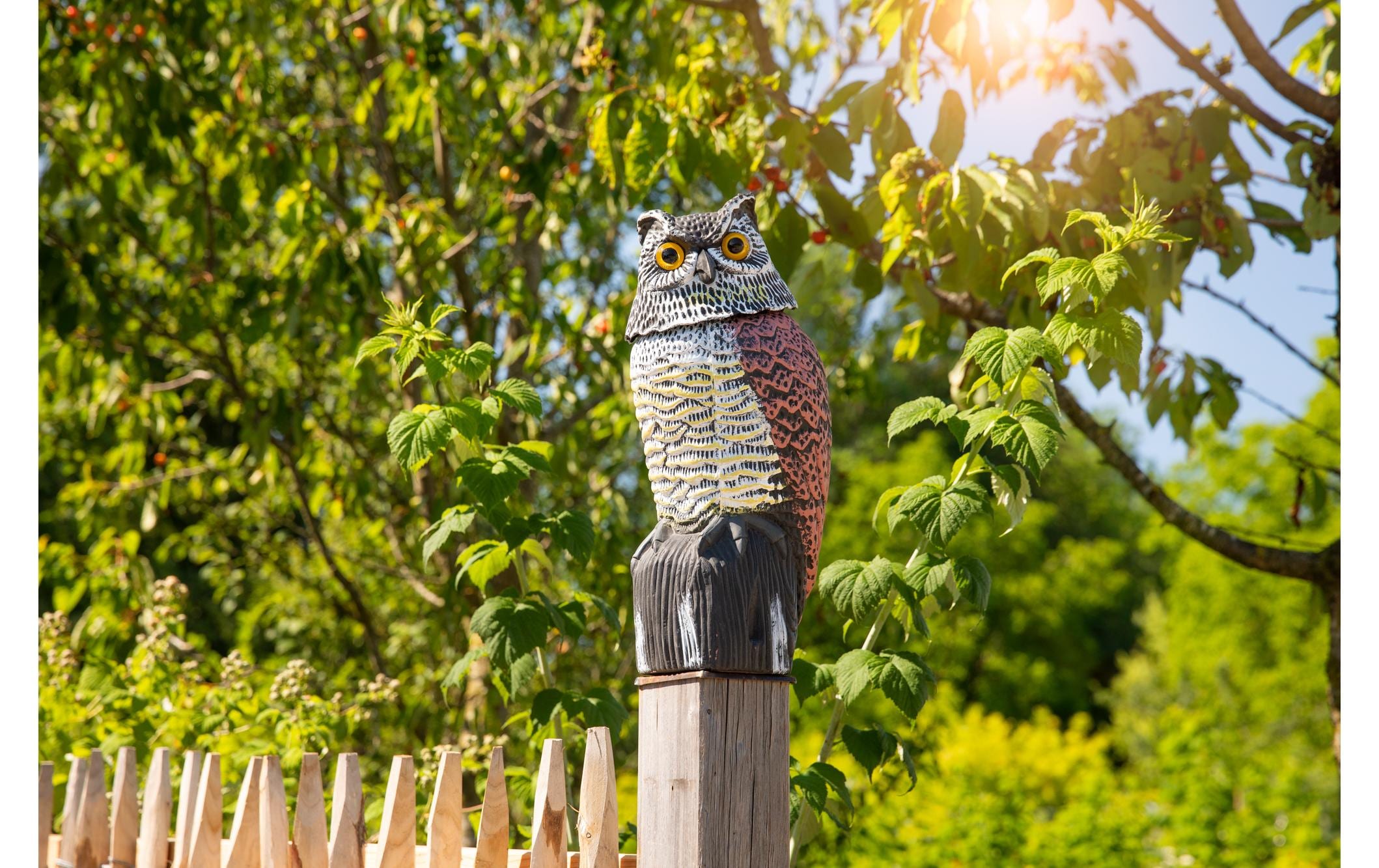 Windhager Vogel-Abwehr, Eule 1 Stück