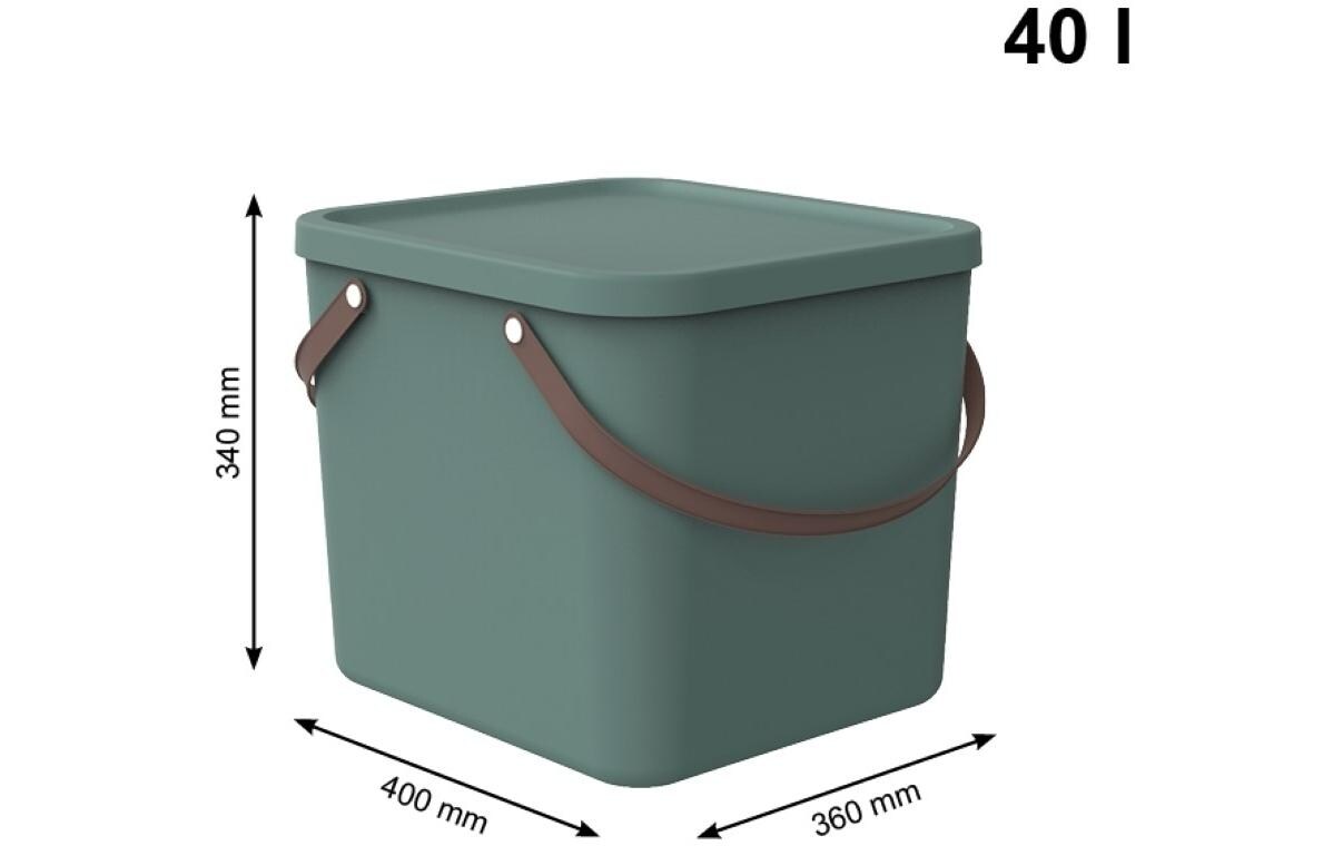 Rotho Aufbewahrungsbox Albula 40 l, Mistletoe Grün