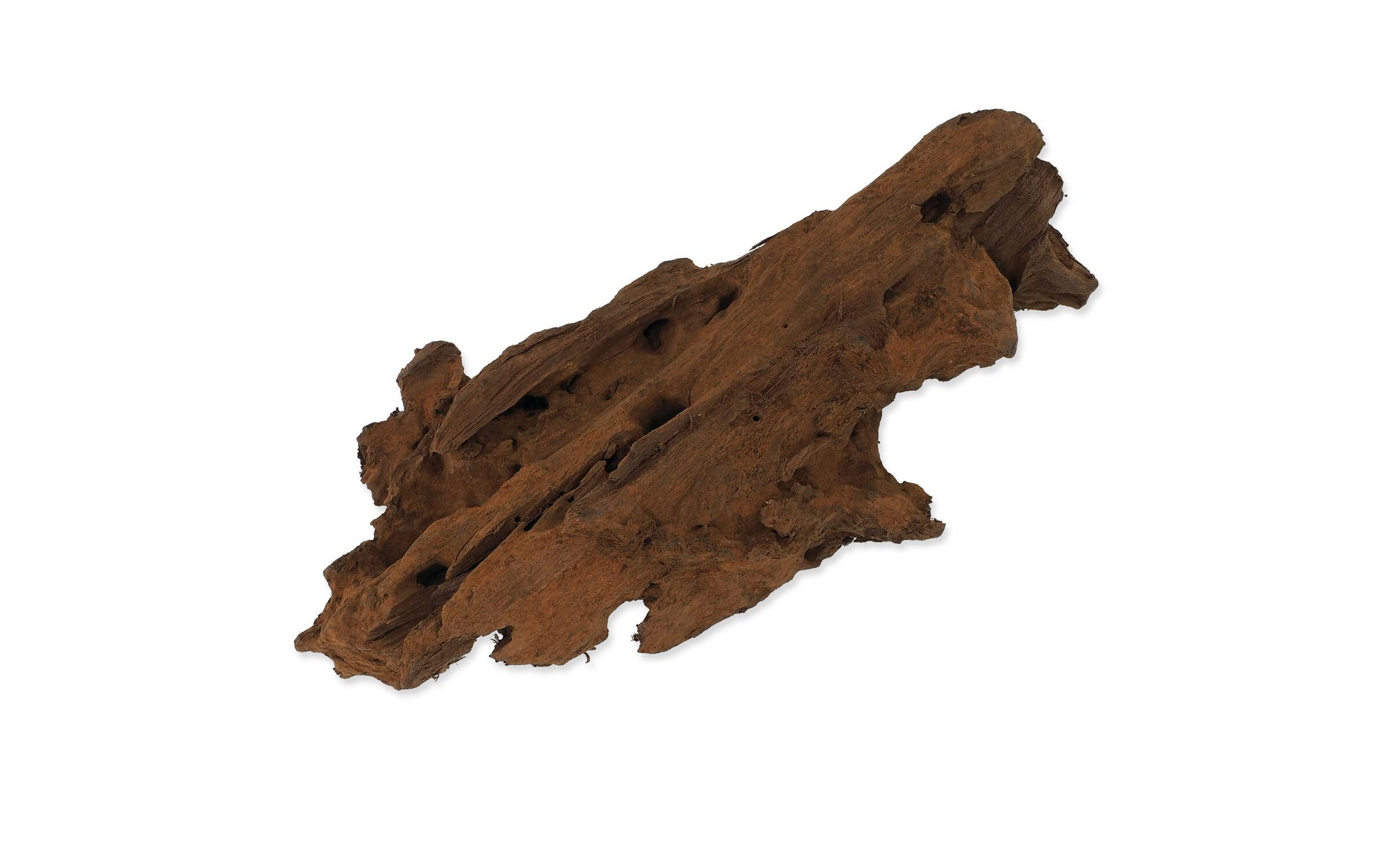 Repti Planet Drift Wood Bulk XS, 19-23 cm