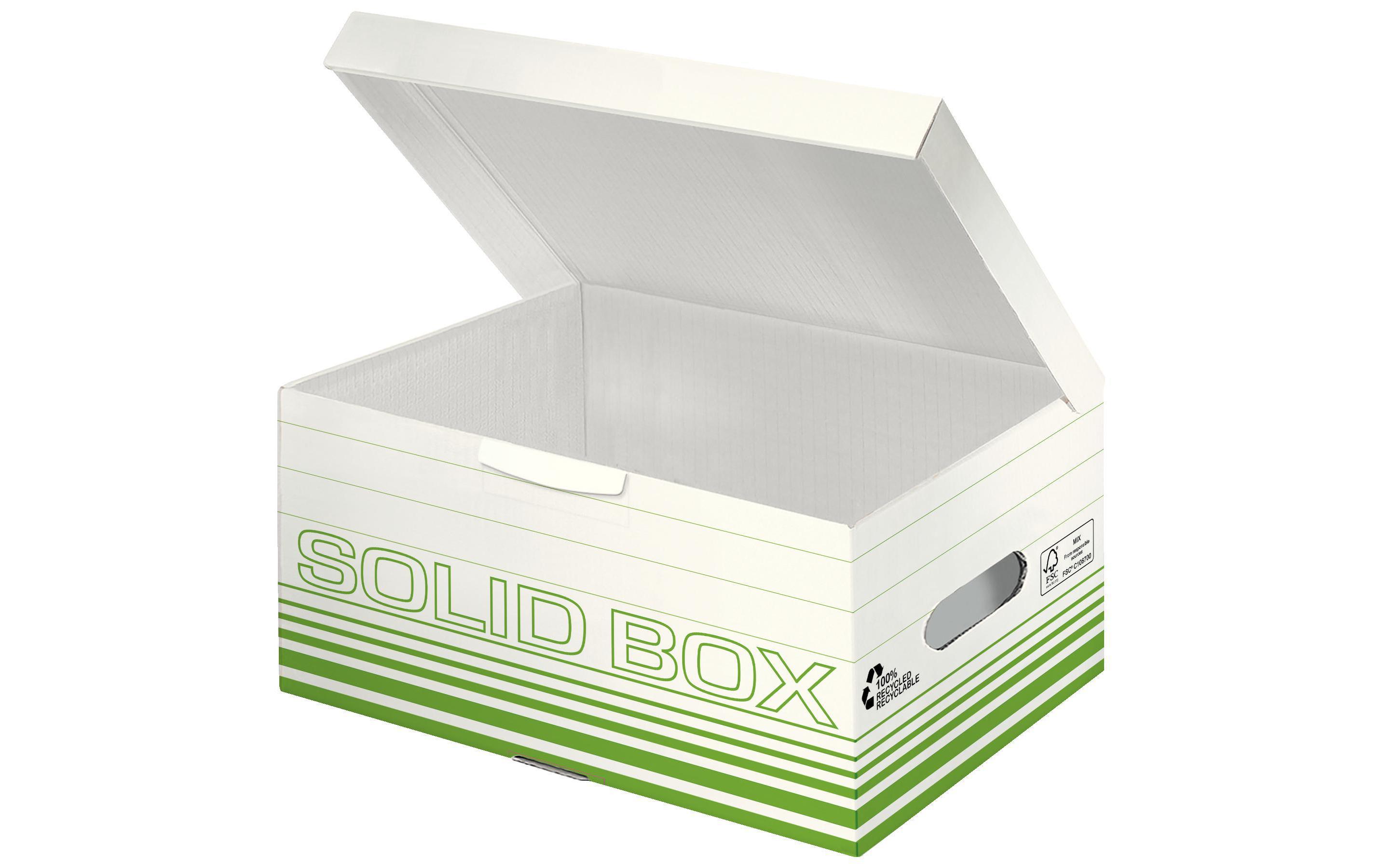 Leitz Archivschachtel Solid Box S Klappdeckel, 10 Stück, Grün
