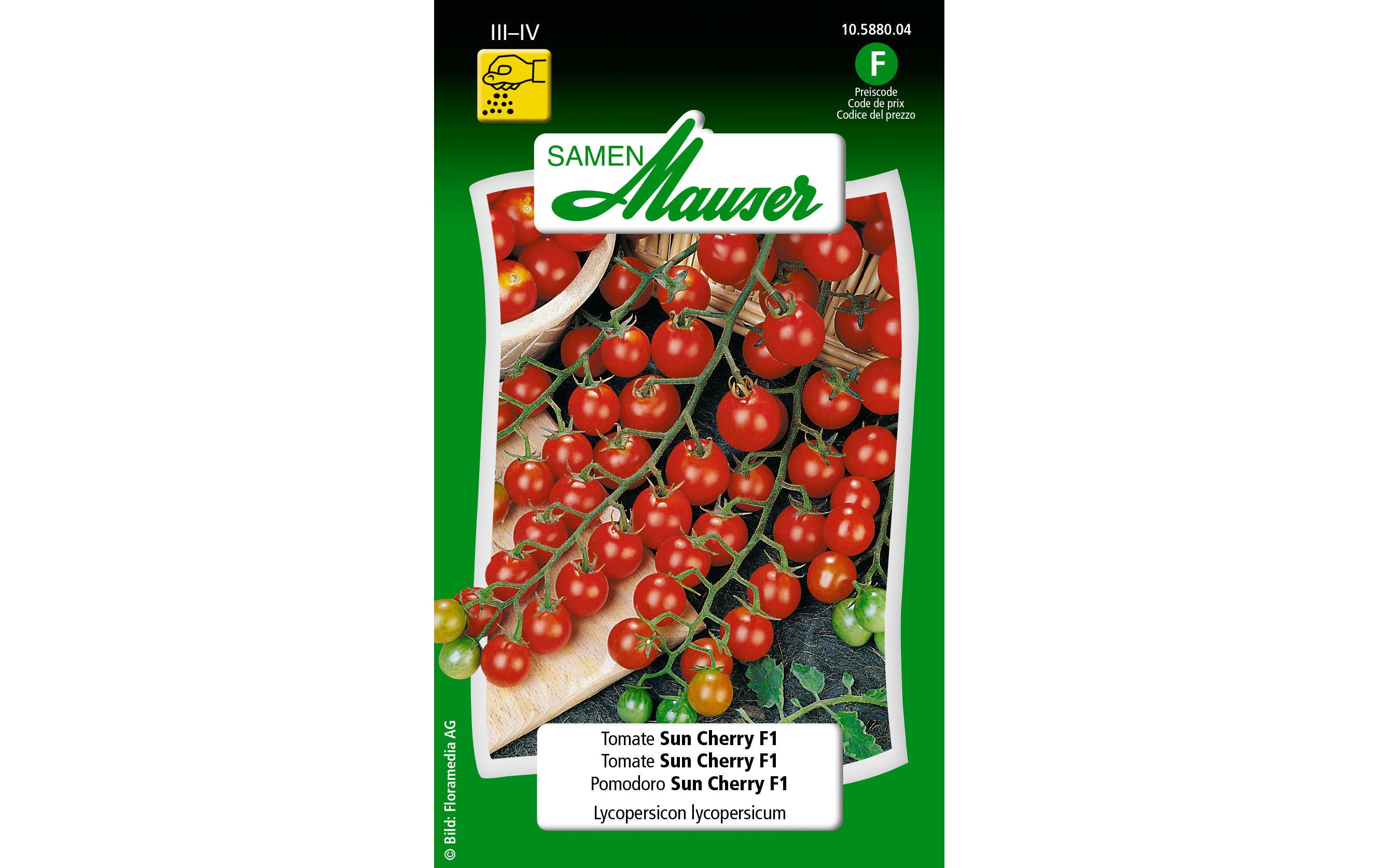 Samen Mauser Samen Tomate Sun Cherry F1