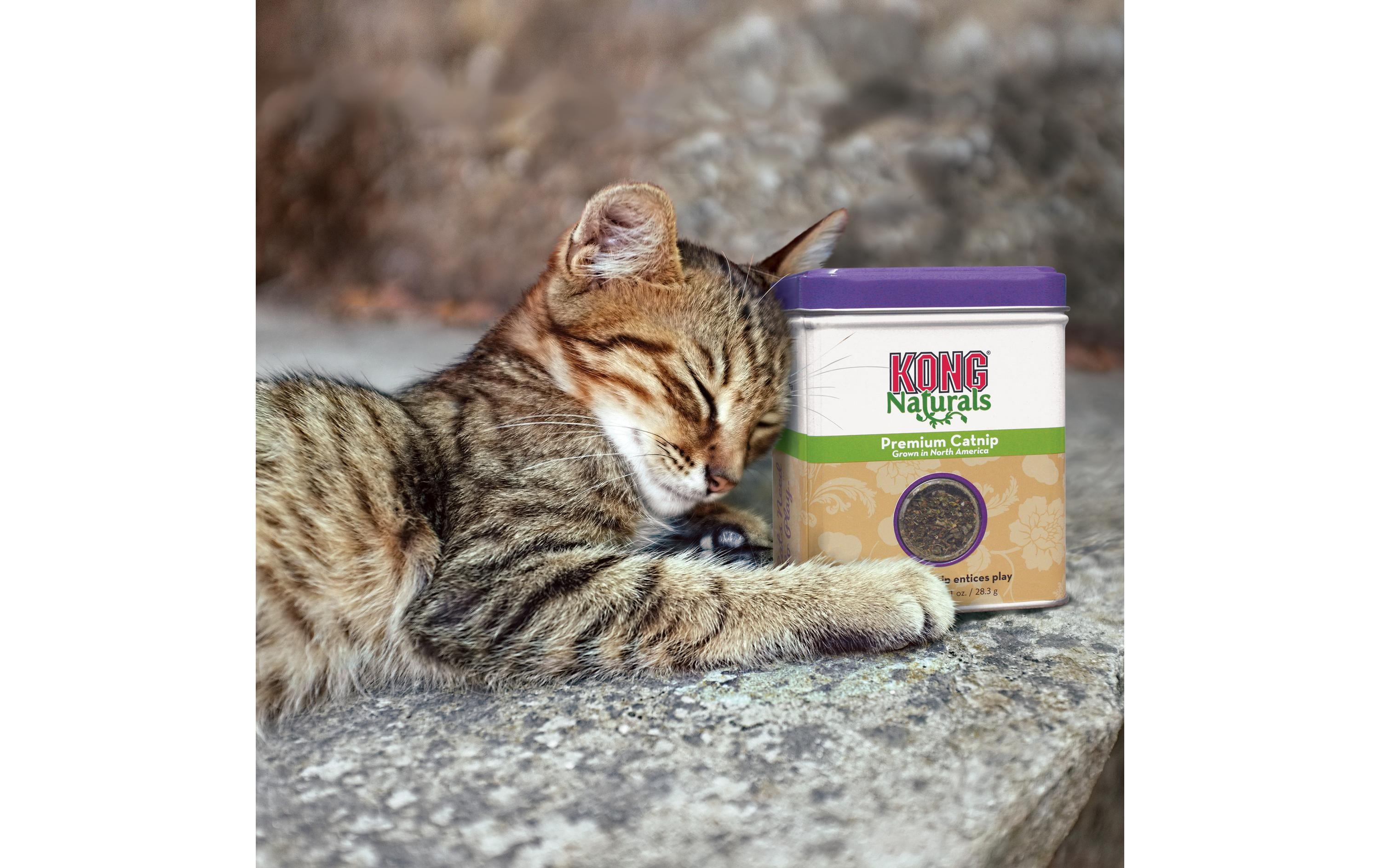 Kong Nachfüller Naturals Catnip 56 g