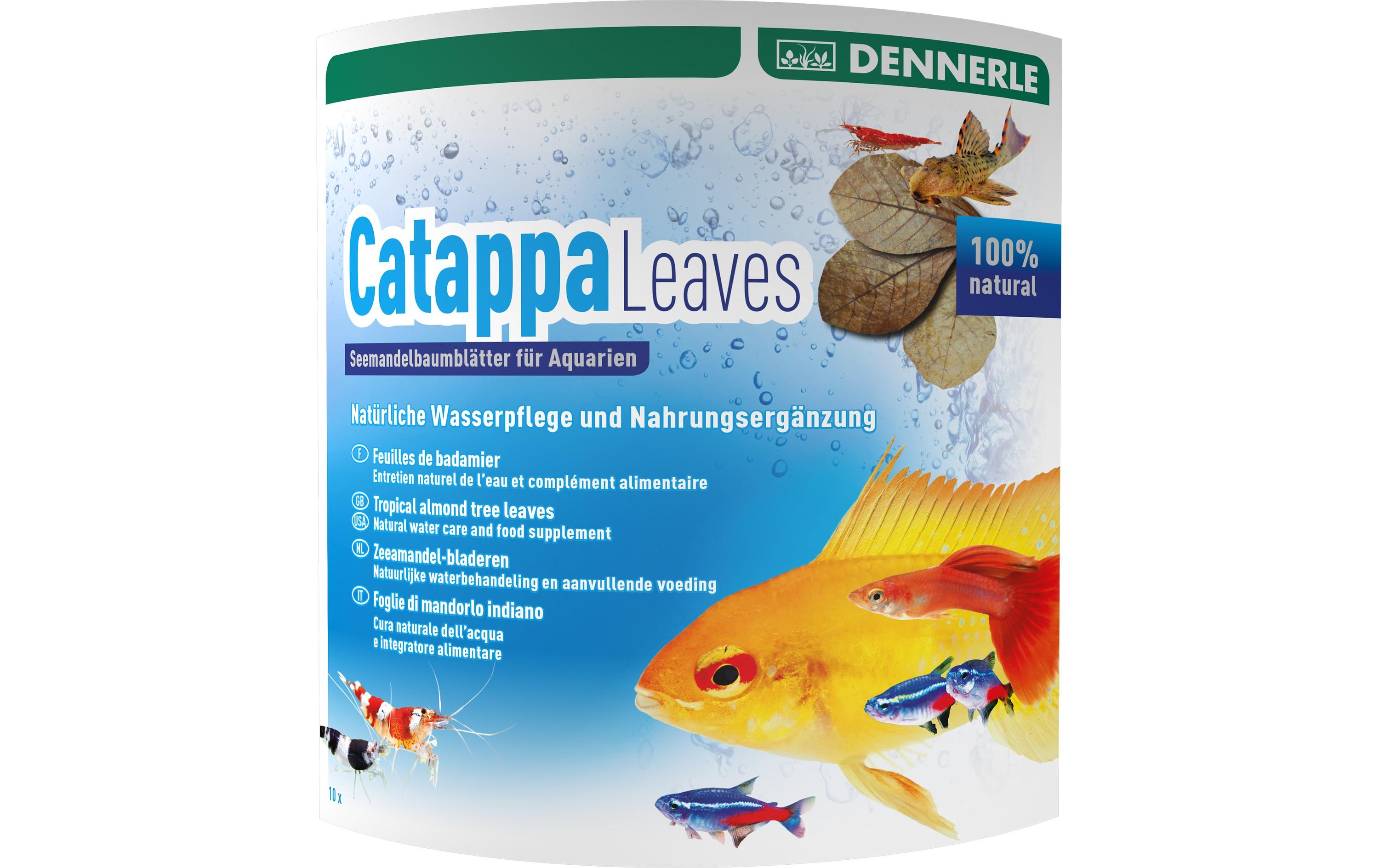 Dennerle Wasserpflege Catappa Leaves, 10 Stück