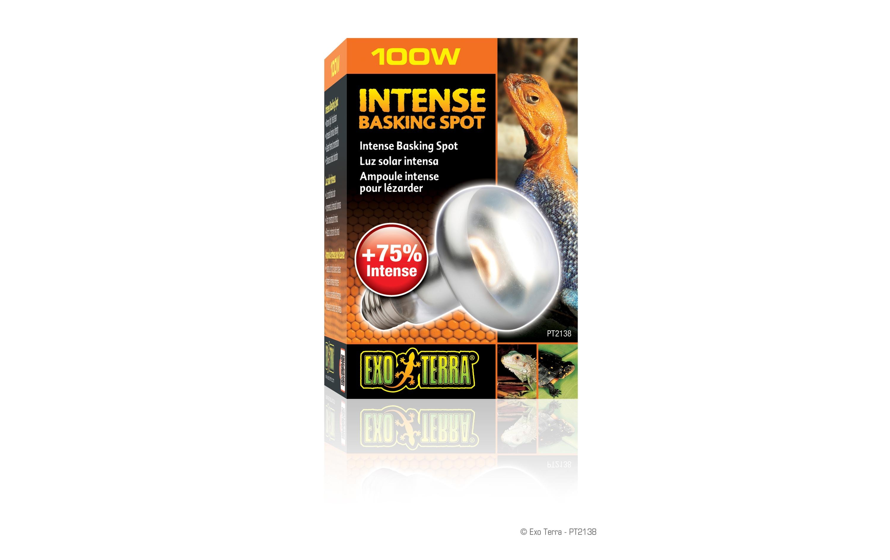 Exo Terra Terrarienlampe Intense Basking Spot E27, R25/100W