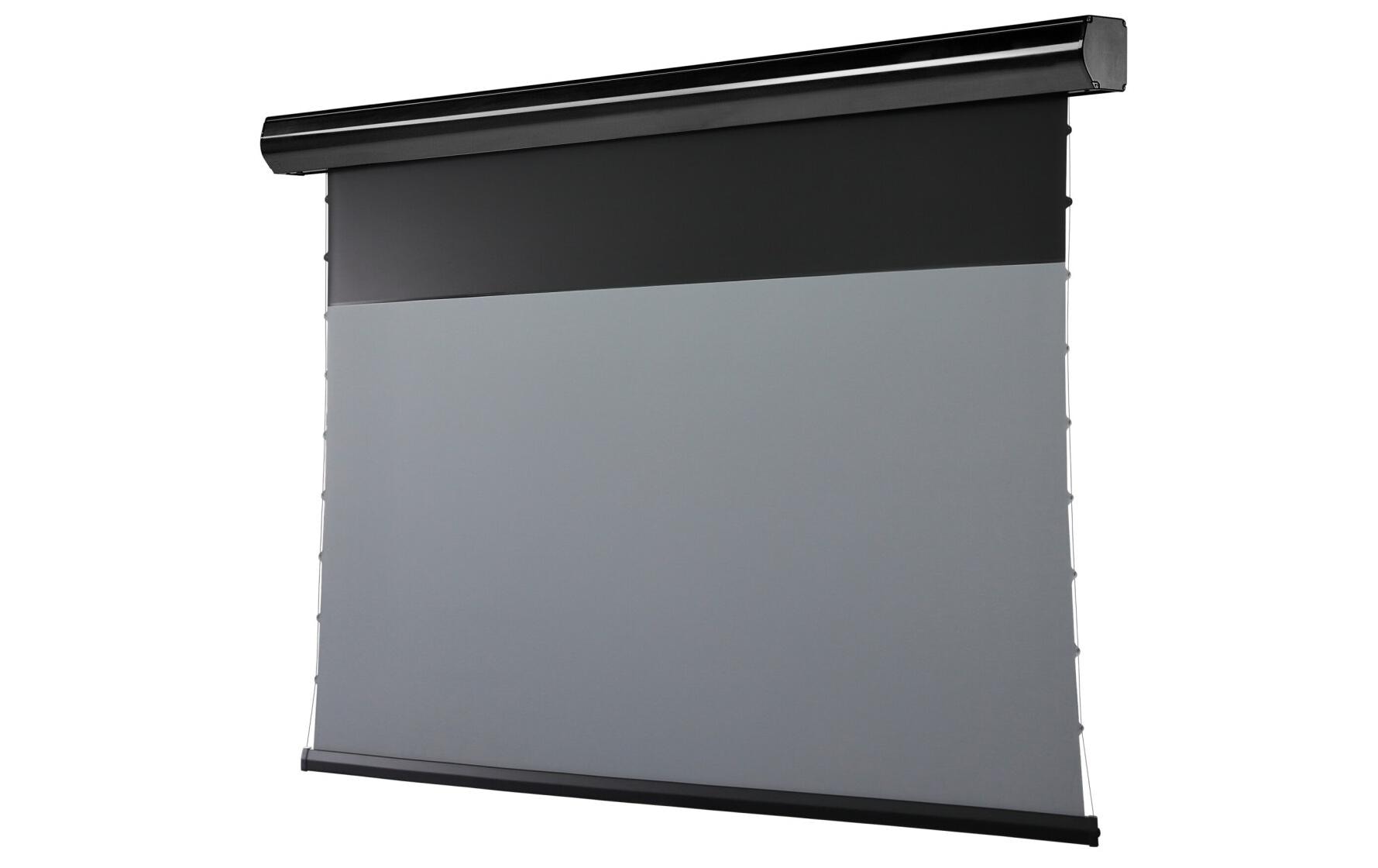 Celexon Motorleinwand HomeCinema Plus Tension 221.4x124.5 cm Schwarz