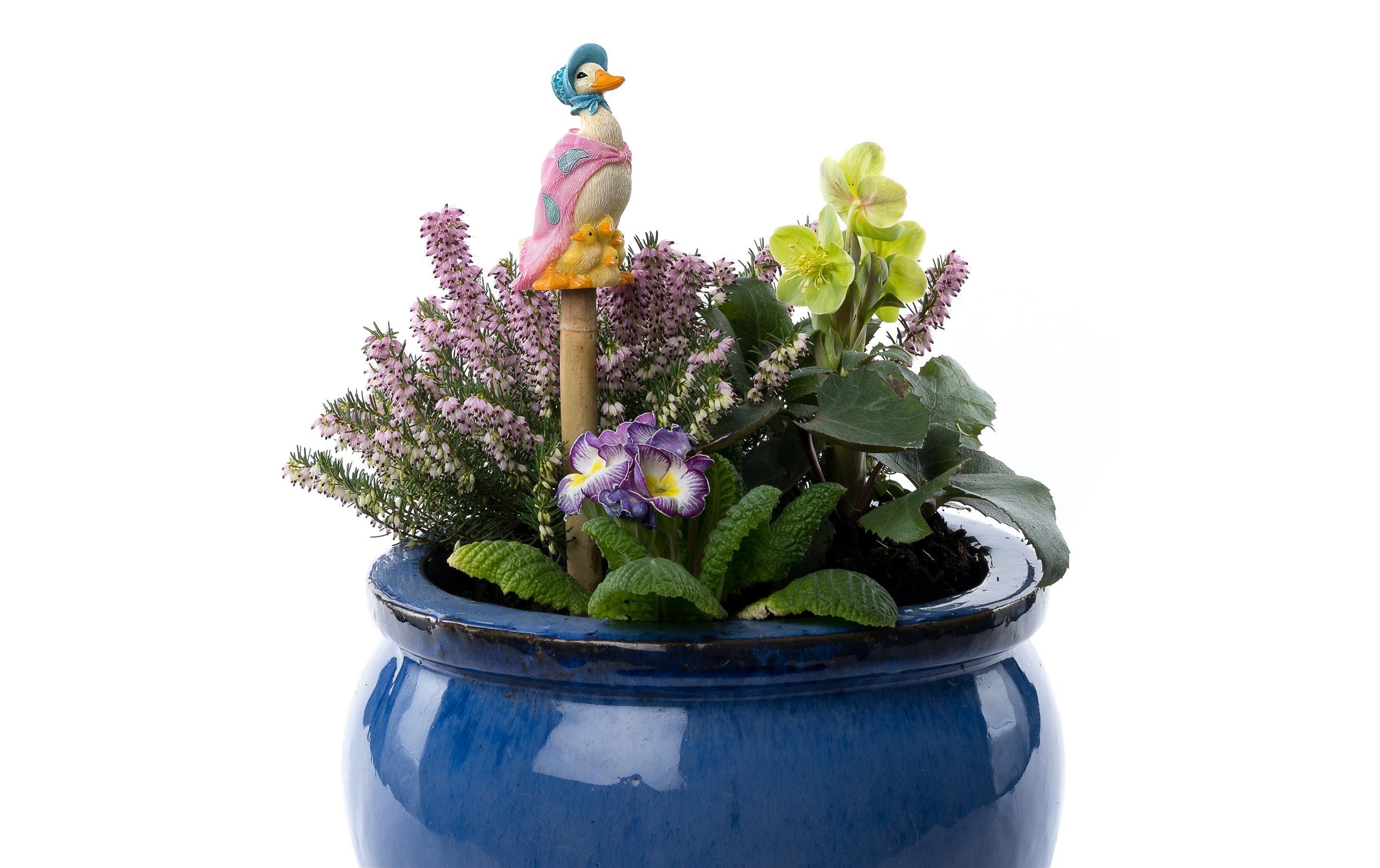 Jardinopia Cane Companions Jemima Puddle-Duck, Mehrfarbig