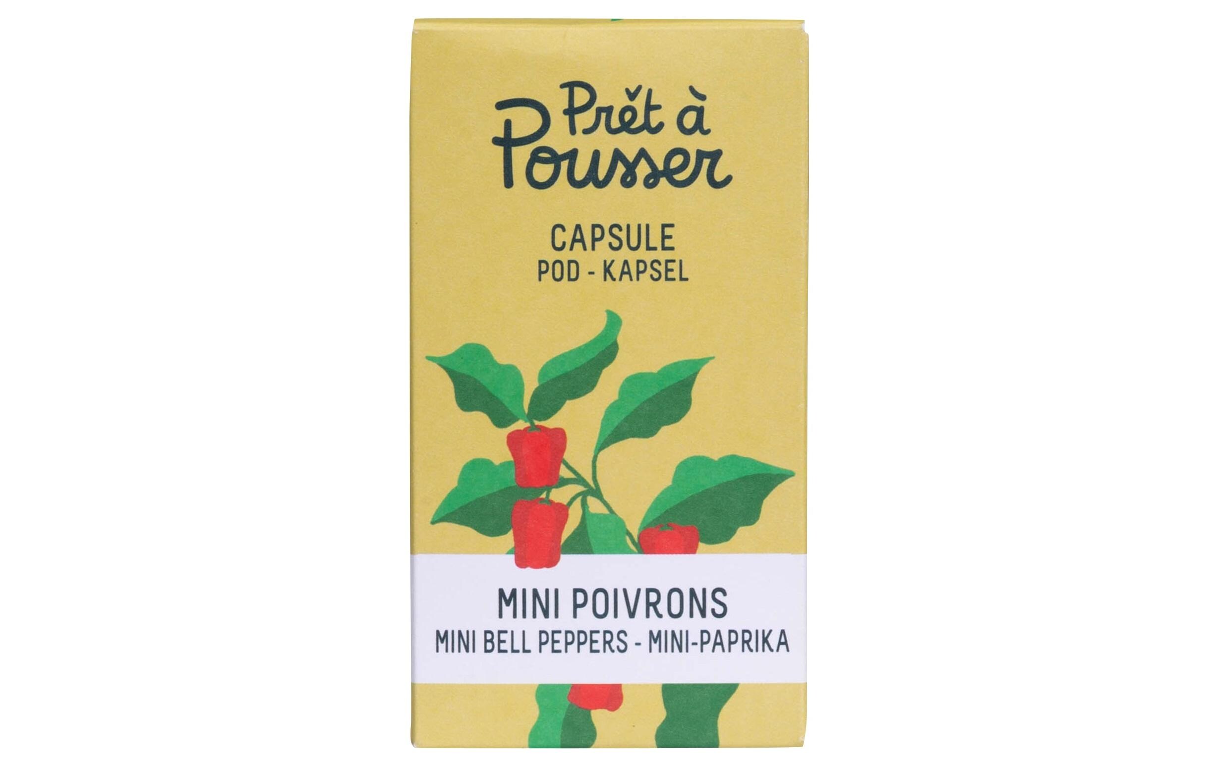 Prêt à Pousser Samen Mini-Paprika