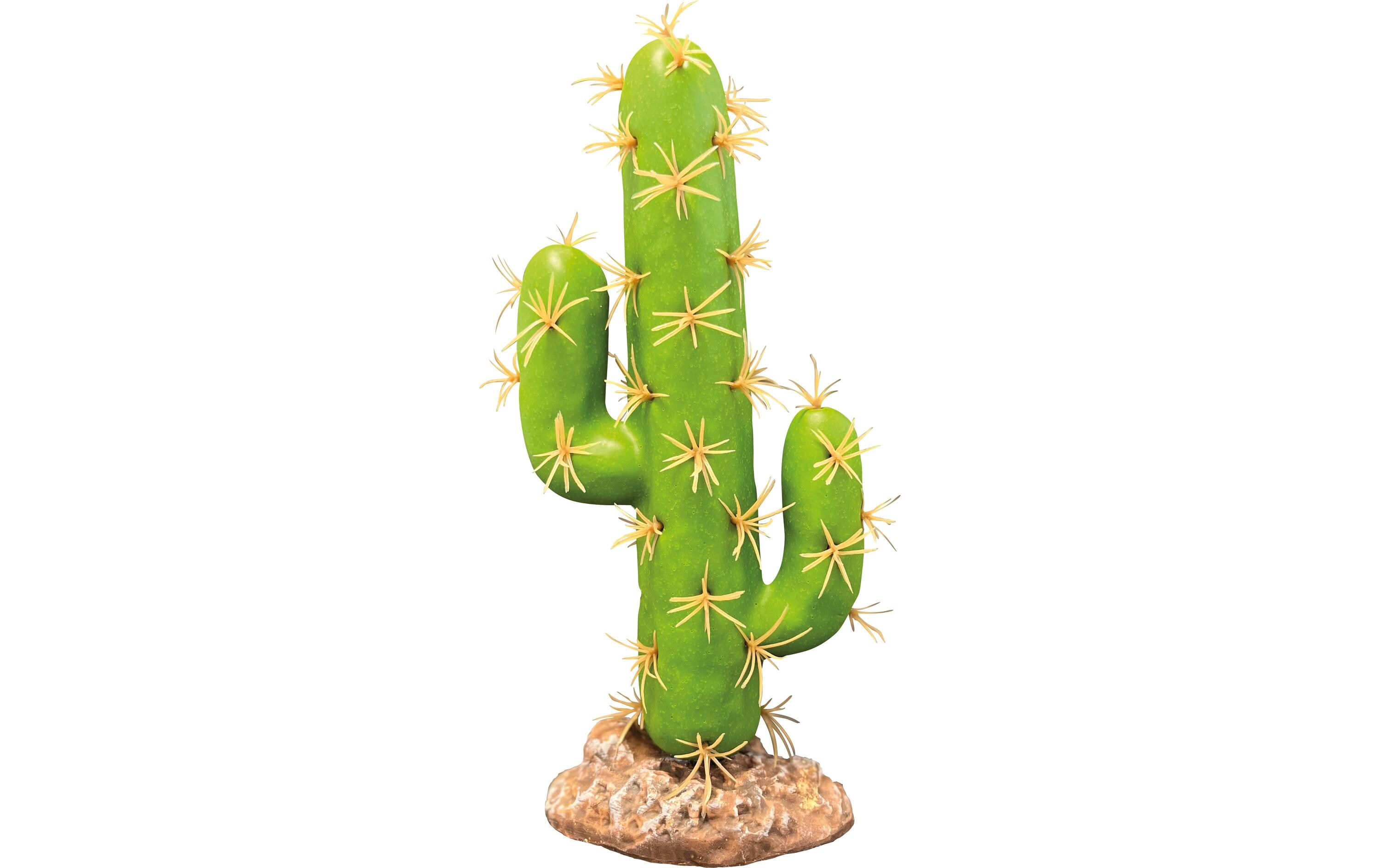 Repto Deco Plant Cactus San Pedro, 22 cm