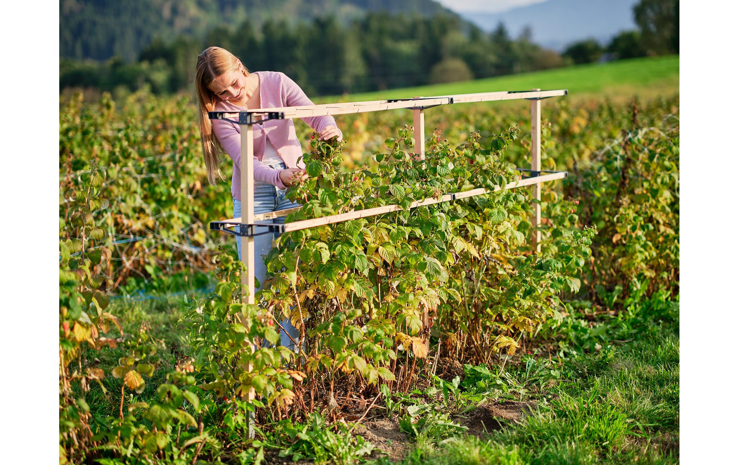 Gusta Garden BERRY BUDDY modulare Beerenrankhilfe Erweiterung Braun