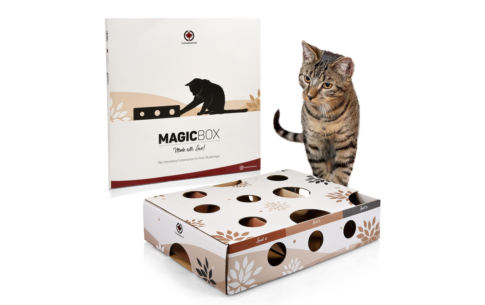 CanadianCat Katzen-Strategiespiel MagicBox, Braun-Weiss