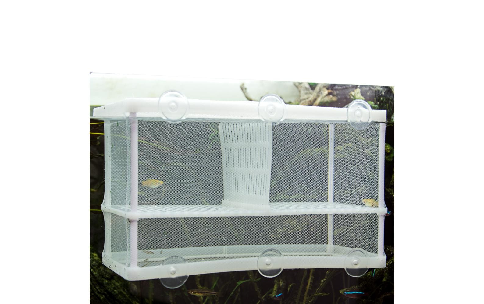 Hobby Aquaristik Ablaichbehälter Nido 3.1 XL, 25 x 15 x 14.5 cm