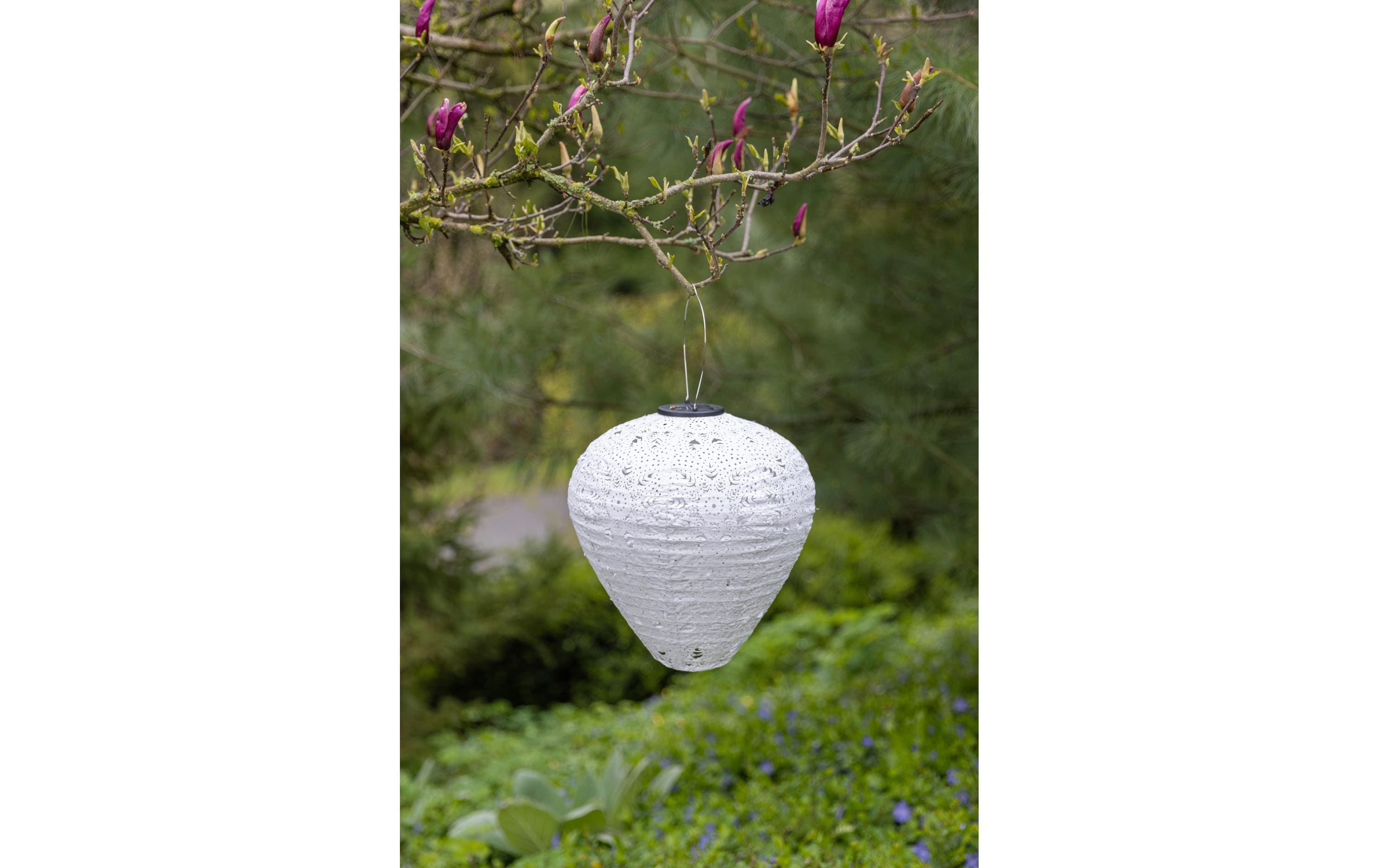 COCON Lampion LED Solar 3er-Set, Violett