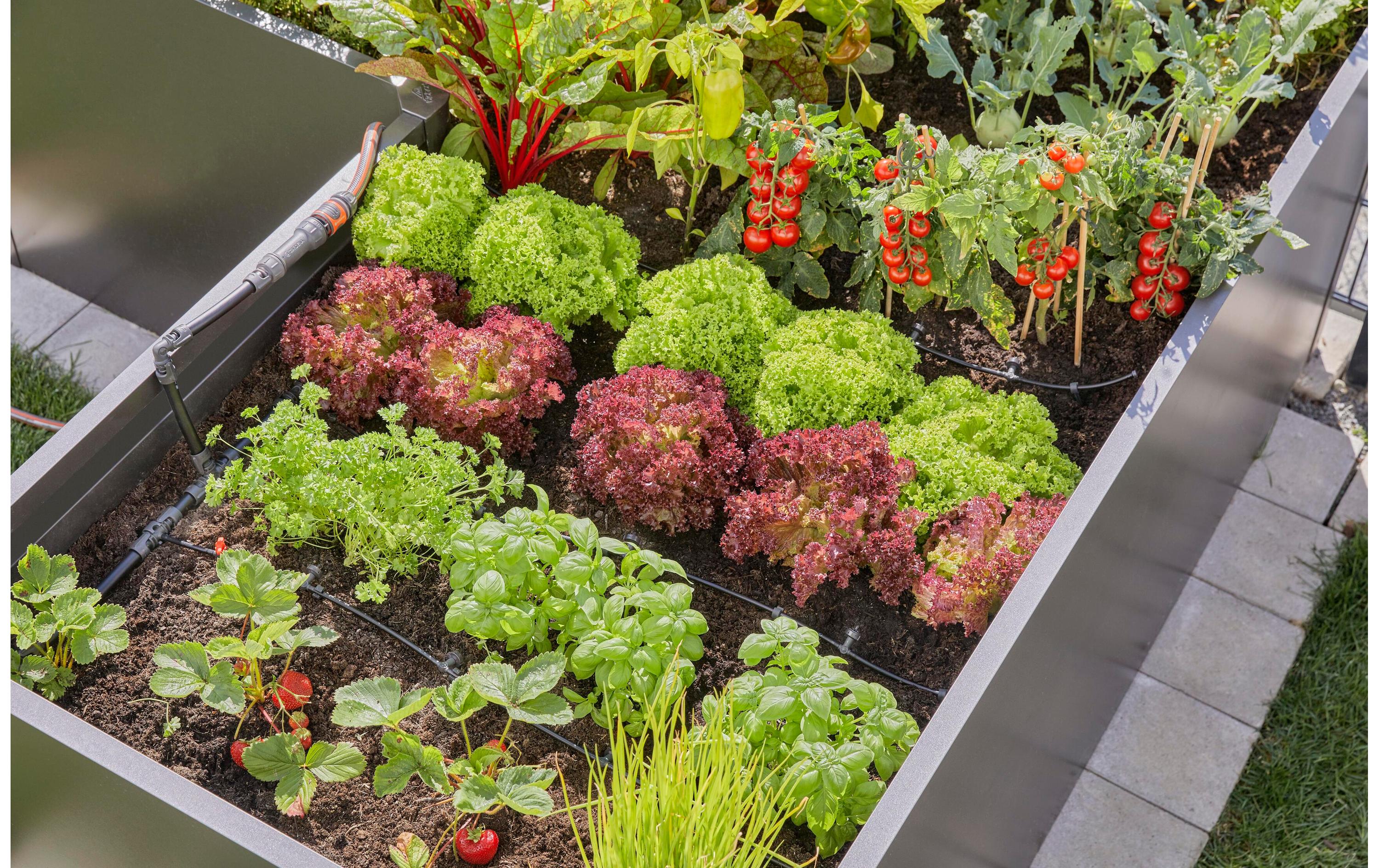 GARDENA Start-Set Tropfbewässerung für Hochbeete Micro-Drip-System