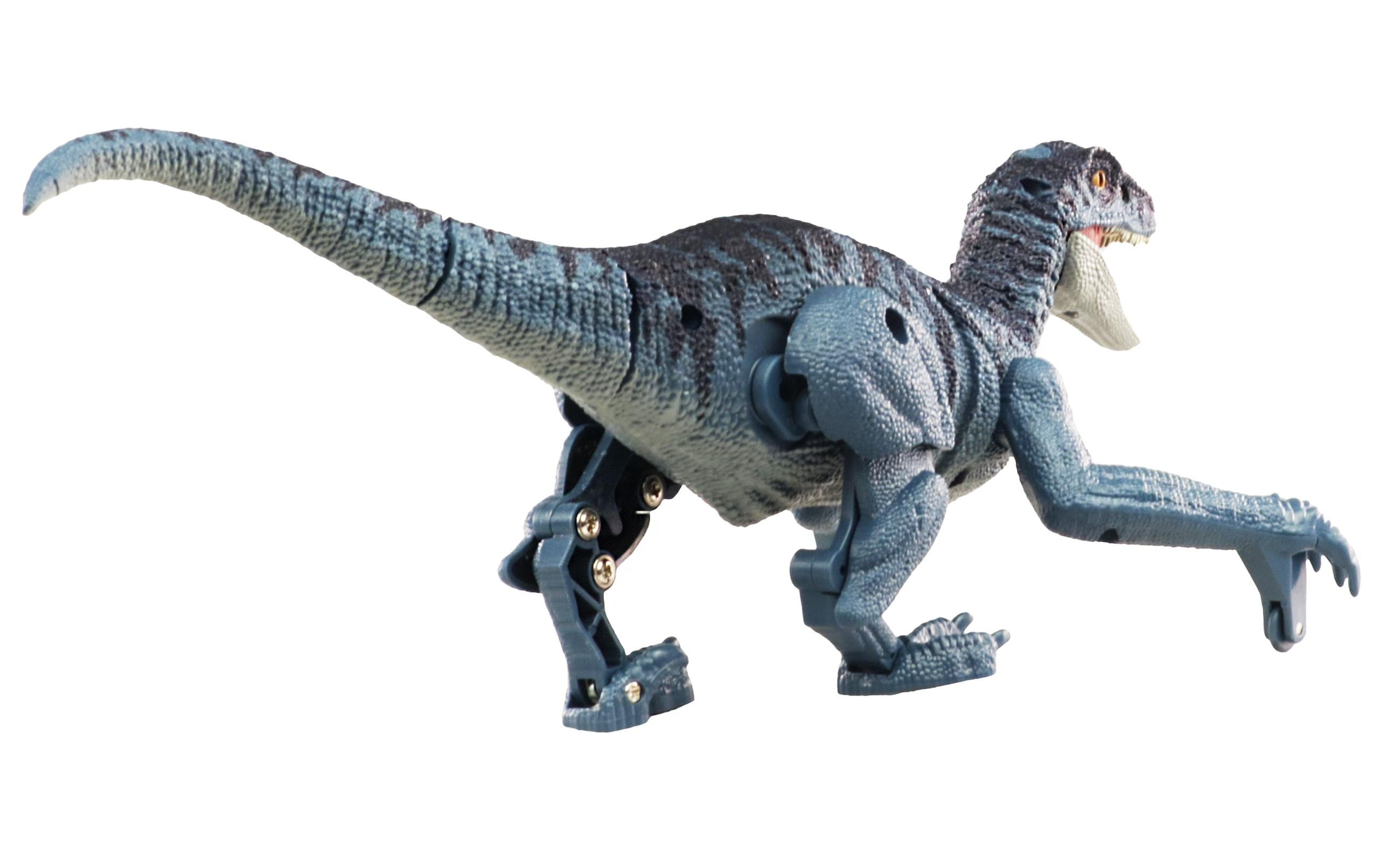 Amewi RC Dinosaurier Velociraptor Blaugrau, RTR