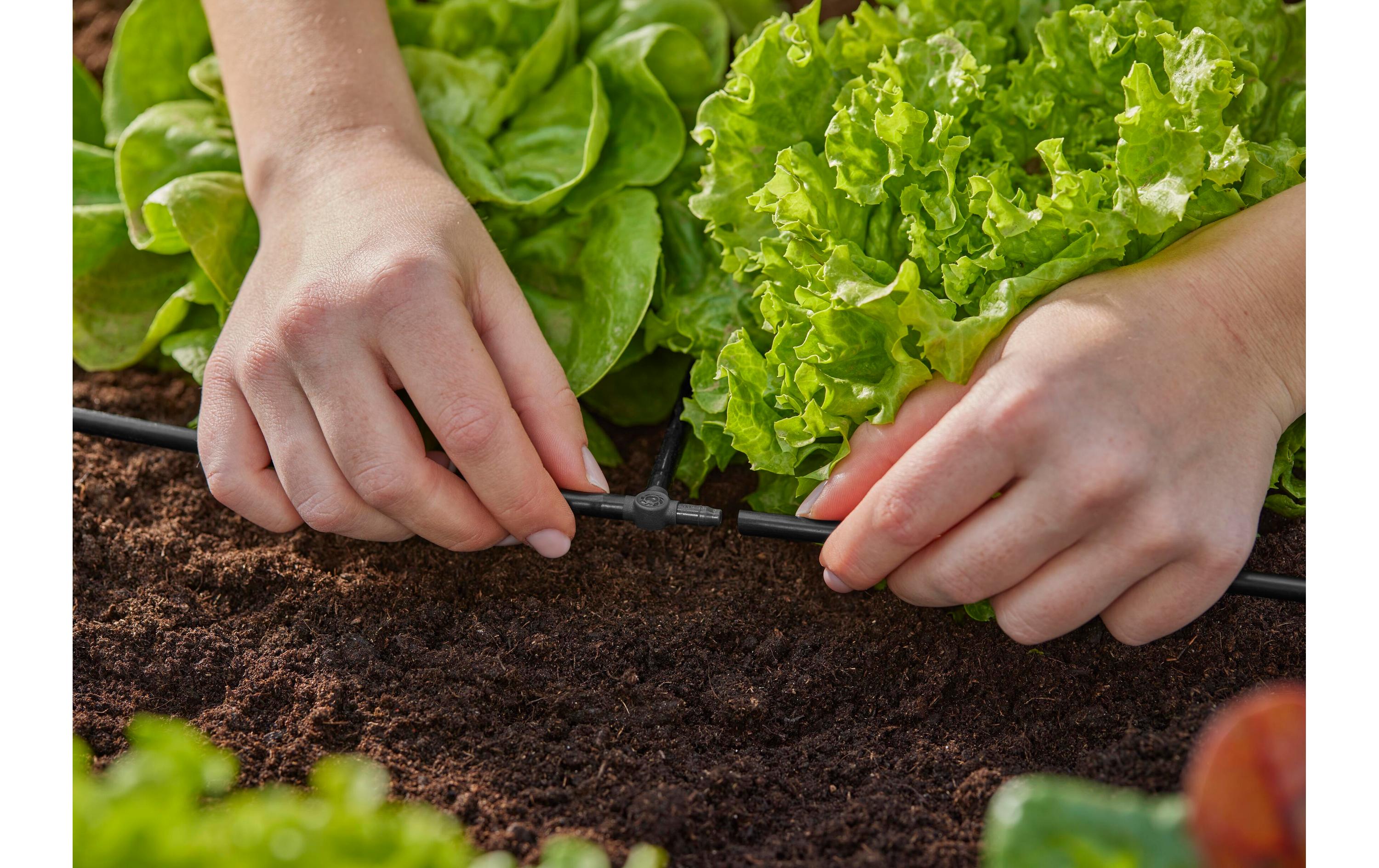 GARDENA T-Stück Micro-Drip-System 3/16, 10 Stück