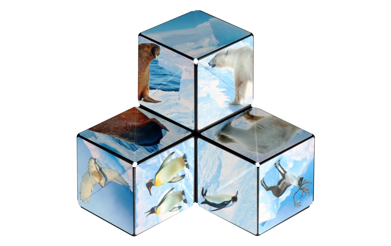 Shashibo Shashibo Cube Arctic